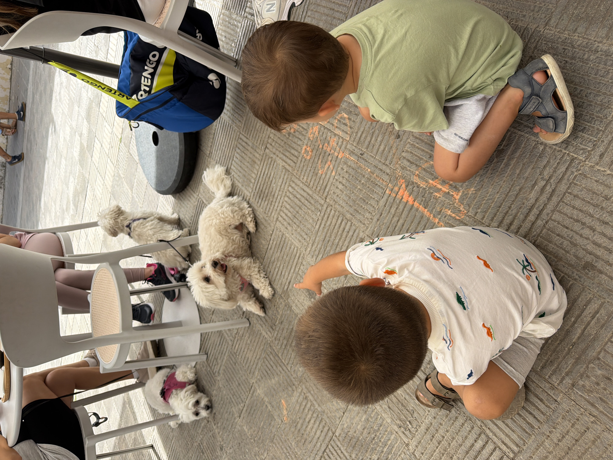 In an outdoor urban setting, likely a patio or sidewalk cafe, two young boys are seated on the ground. The boy on the left, facing away from the camera, wears a white t-shirt with a dinosaur print and grey shorts. He is pointing to the right with his left hand. The boy on the right, also facing away, wears a light green t-shirt and grey shorts. He is wearing grey sandals. The ground is paved with rectangular tiles. In the background, several white dogs are visible. One dog, wearing a pink harness, lies down near a table and chairs. Another dog sits upright, looking to the side. A third dog is partially visible behind a blue and yellow sports bag. The legs of at least two adults are visible sitting at a table in the background, near the dogs. The overall scene appears to be casual and familial, possibly a gathering at an eatery or park.
