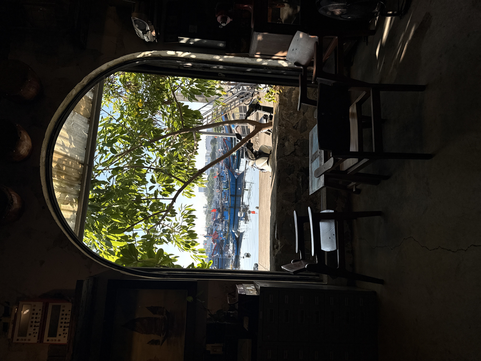 The image captures a view from an arched doorway into a harbor in Đà Nẵng, Vietnam. In the foreground, inside a dimly lit room, are two wooden chairs and a small table. The room appears to be a shop or cafe, with shelves and cabinets filled with various objects, including what look like old electronics and decorative items.
Through the doorway, a vibrant scene unfolds. The harbor is filled with numerous blue fishing boats, some of which are quite large and brightly colored. Red flags are visible on some of the vessels. Lush green trees with bright green leaves dominate the middle ground, casting dappled sunlight onto the scene. Beyond the harbor, a cityscape with buildings is visible in the distance. The sky is clear and blue. The overall impression is one of a serene and picturesque day in a coastal Vietnamese city.