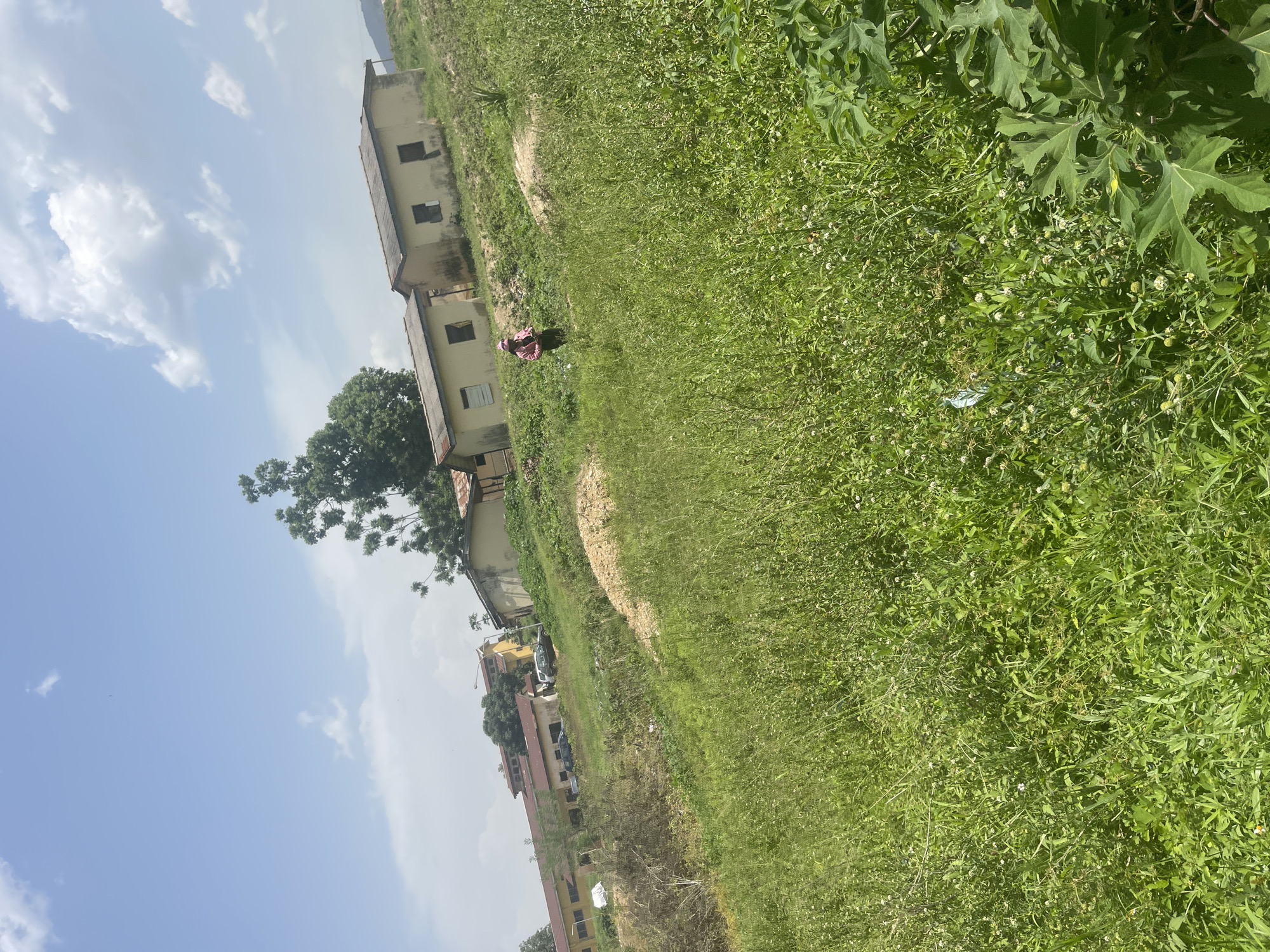 This is a landscape-oriented, slightly tilted photograph taken outdoors in Rafin Par, Nigeria. The scene features a row of light-colored, two-story buildings with visible windows and a grey roof. In front of the buildings, there is a person wearing a pink garment and a head covering, standing in a field of green grass. The grass is tall and appears overgrown in some areas, with scattered small white flowers. To the left of the buildings, a large, leafy green tree is visible. The sky is mostly blue with some scattered white clouds. The lighting suggests it is daytime. The overall setting appears to be a rural or semi-rural area, possibly a school or residential complex.