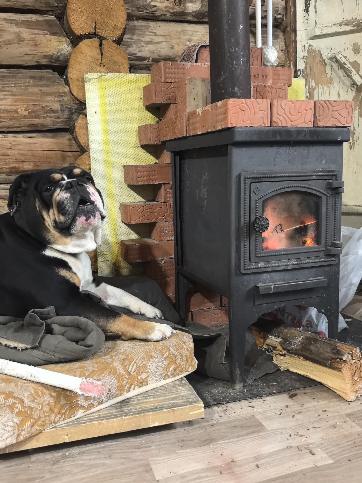 An English Bulldog rests on a cushion beside a wood-burning stove in a room with log walls. The stove is black and has a chimney pipe extending upwards. There are bricks stacked behind the stove. A partially burned log lies next to the stove. A grocery bag is visible behind the stove. The location is Noviy, Russia.