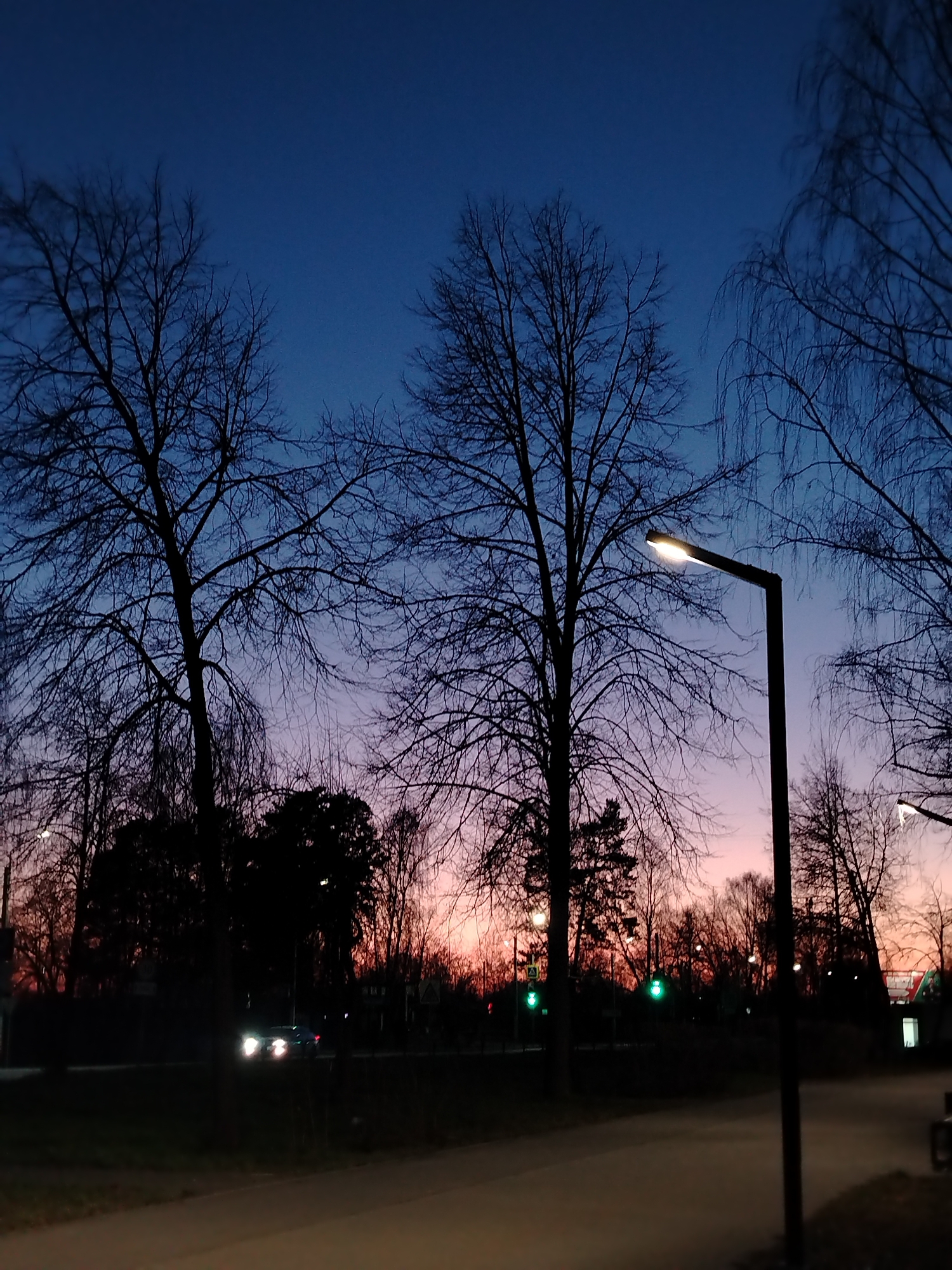 The image captures a dusky urban scene in Chaikovsky, Russia, likely during twilight. Silhouetted bare trees dominate the foreground, their branches stark against a gradient sky that transitions from blue at the top to pink and orange near the horizon. A modern street lamp stands to the right, its light illuminating a pedestrian walkway. A car with headlights on moves along the dark road beyond the trees. Further back, green traffic lights are visible among silhouetted trees. The overall atmosphere is subdued and quiet.