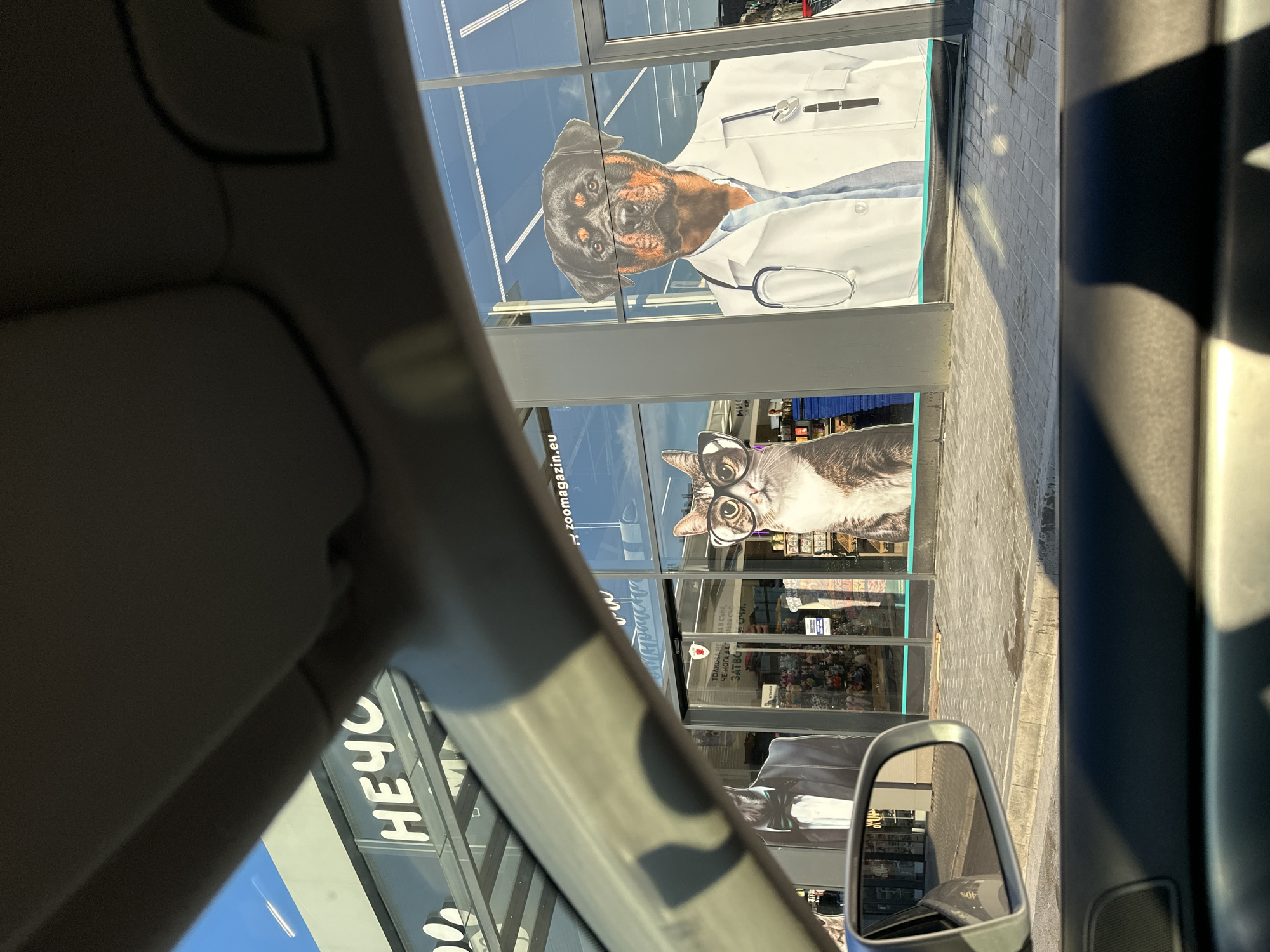 This is a photograph taken from inside a vehicle, looking out towards a store window. The store appears to be a pet supply store, indicated by large posters on the window featuring anthropomorphic animals. On the left, a poster shows a cat wearing glasses and a bow tie. To the right, a Rottweiler is depicted wearing a doctor's coat and stethoscope. Above the posters, some text is visible on the store's facade, including "НЕЧО" and "zoomagazin.eu". The location is identified as Veliko Tarnovo, Bulgaria. The image captures a sunny day with reflections on the store windows and shadows cast on the pavement. The car's interior, including a portion of the dashboard and a side mirror, is visible in the foreground, framing the view of the store.