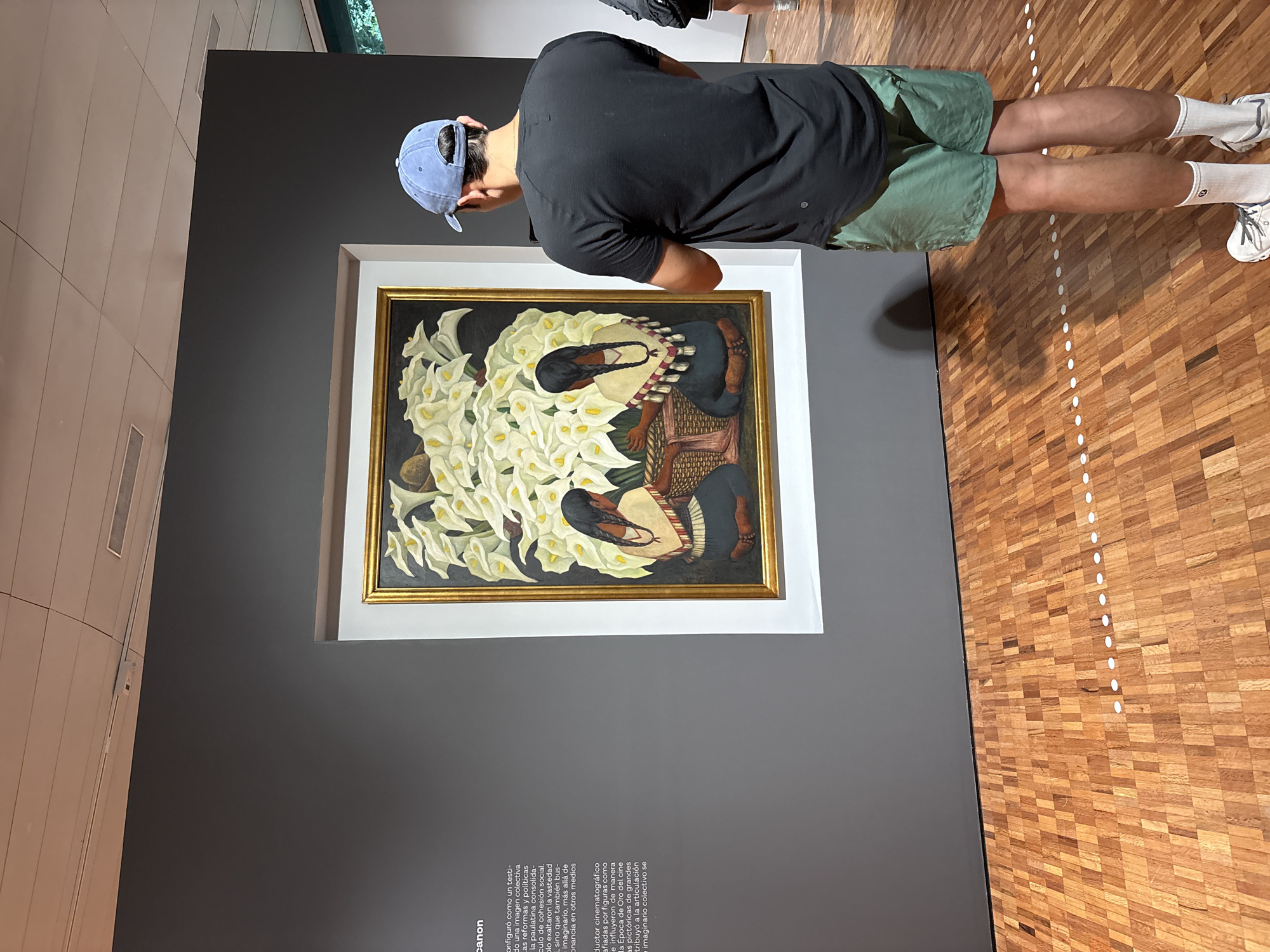 A horizontal medium shot captures a person viewing a painting at a museum in Mexico City, Mexico. The person, facing the painting, wears a black t-shirt, green shorts, and a light blue baseball cap. They stand on a hardwood floor, adorned with a line of white dots, presumably to designate a path or safe distance. The painting features a figure surrounded by white flowers, set within a gold frame against a grey wall. Text is visible on the wall below the painting.