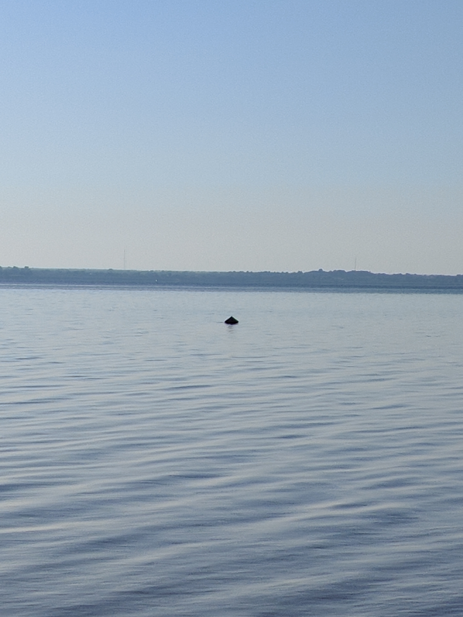 The image shows a wide body of water with gentle ripples. The sky is clear and pale blue, transitioning to a lighter shade near the horizon. In the distance, a thin strip of land with a dark, uneven silhouette is visible. A single, dark, conical object protrudes from the water in the middle ground. No people or any specific landmarks of Nezavertaylovka, Moldova are discernible in this serene, natural scene.