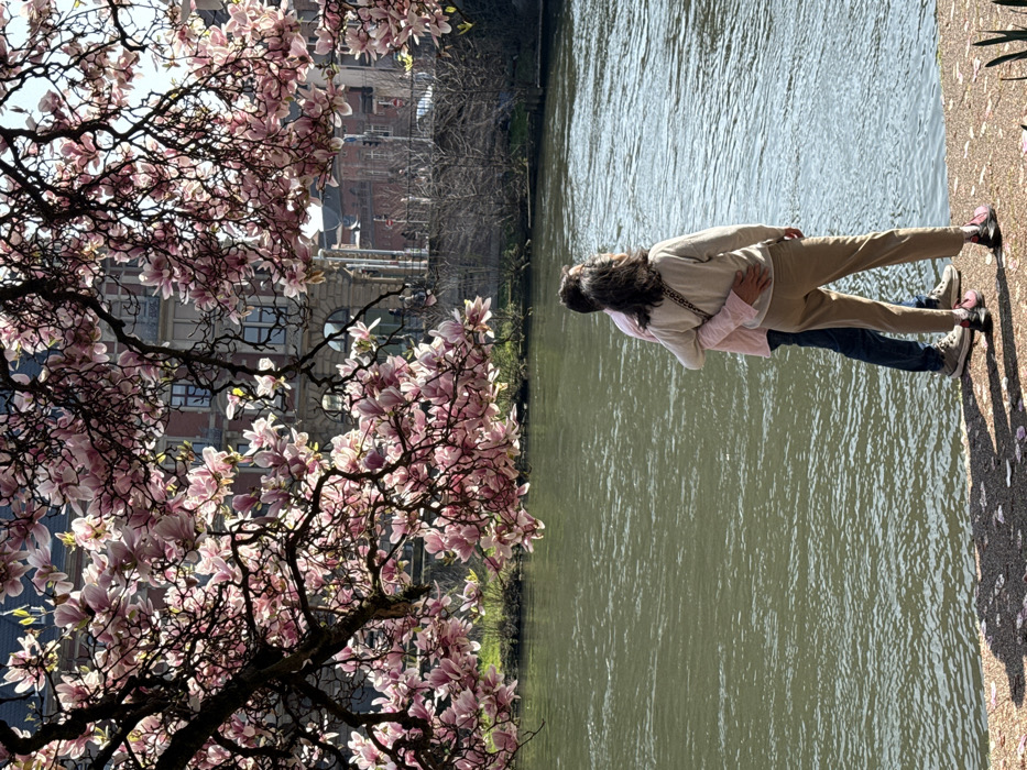 The image depicts two individuals standing on a paved riverbank in Strasbourg, France, along the Ill River, with the historic Palais Rohan visible across the water. A large magnolia tree, abundant with light pink blossoms, extends overhead, with sunlit petals framing the scene. The individual on the left, wearing a pink long-sleeved shirt and blue jeans, embraces the individual on the right, who is dressed in a beige long-sleeved top and light brown trousers; both are viewed from behind, facing the river. The green-brown river surface shows ripples and reflections of sunlight. Scattered pink magnolia petals are visible on the paved ground in the foreground. Across the river, the multi-story Palais Rohan, distinguished by its red-toned facade and classical architectural details, is clearly identifiable, accompanied by a distant bridge and other urban structures. The sky is clear.