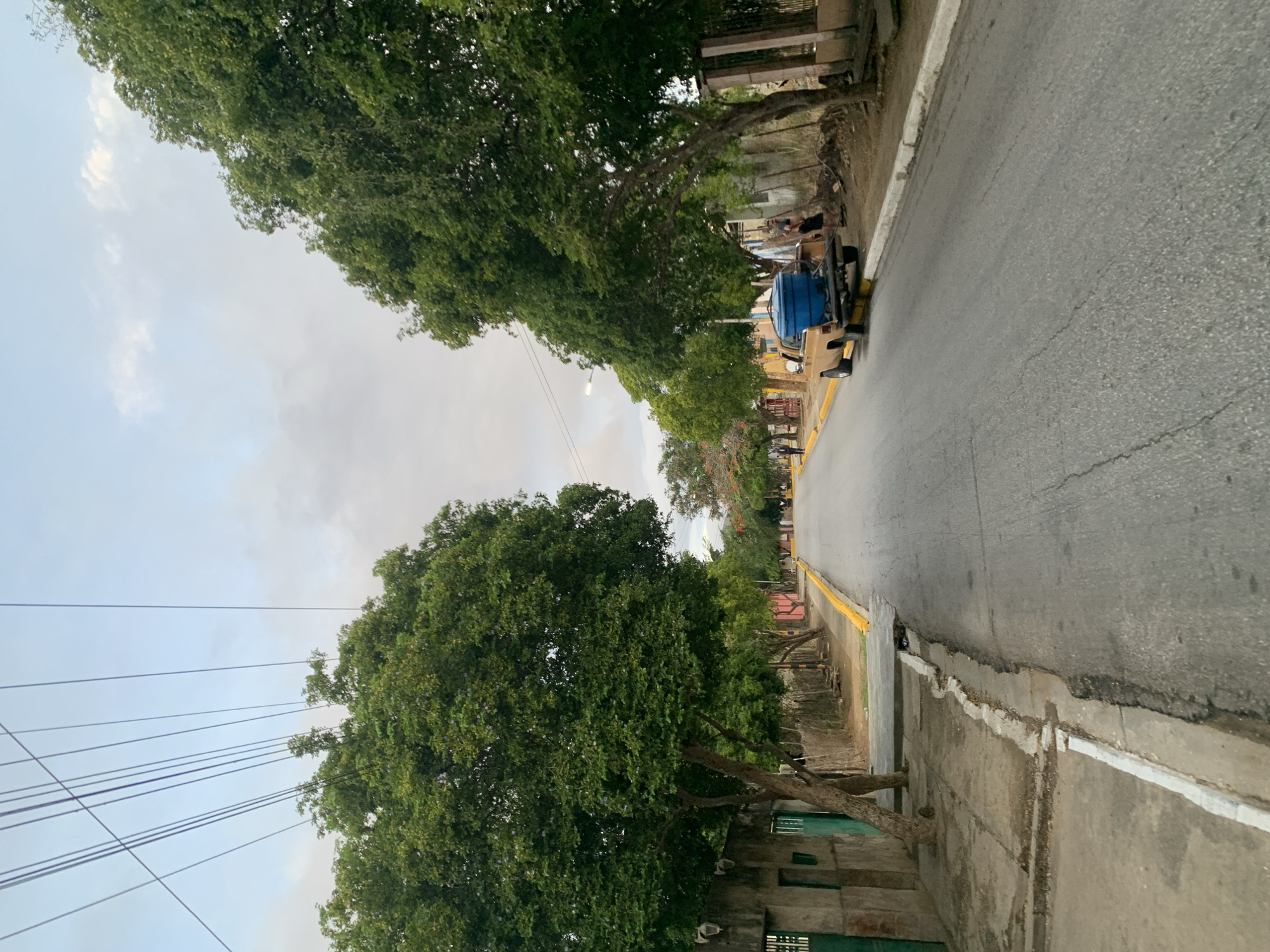 The image depicts an overcast daytime street scene in La Tagua, Venezuela, viewed as if looking down a road that recedes into the distance. The road, made of asphalt, shows visible cracks and features a yellow line marking its edge on the right side. A narrow, unpaved shoulder or sidewalk runs alongside the road, bordered by concrete structures and patches of earth.
Lining the right side of the street are numerous large, verdant trees with dense green foliage, some exhibiting thick, gnarled trunks. Their branches extend over the road, partially shading the area. Behind the trees, glimpses of low buildings or fences can be seen.
In the mid-ground on the right side of the road, a light-colored pickup truck, possibly beige or light brown, is visible, carrying a prominent blue water tank in its bed. Near the truck, beneath the trees, several indistinct figures are present. One figure appears to be lying down or slumped against the ground, while others stand or sit nearby, though their activities are unclear due to distance and resolution. Further down the road, more small, blurred human figures can be seen along the street.
The sky is largely overcast with scattered light clouds, suggesting a cloudy day without direct sunlight. Numerous dark utility cables or power lines stretch across the upper left portion of the frame, contrasting with the light sky. No discernible text is visible within the image. The overall setting portrays a typical street in a semi-urban or rural environment, characterized by greenery, essential infrastructure, and daily activity.
