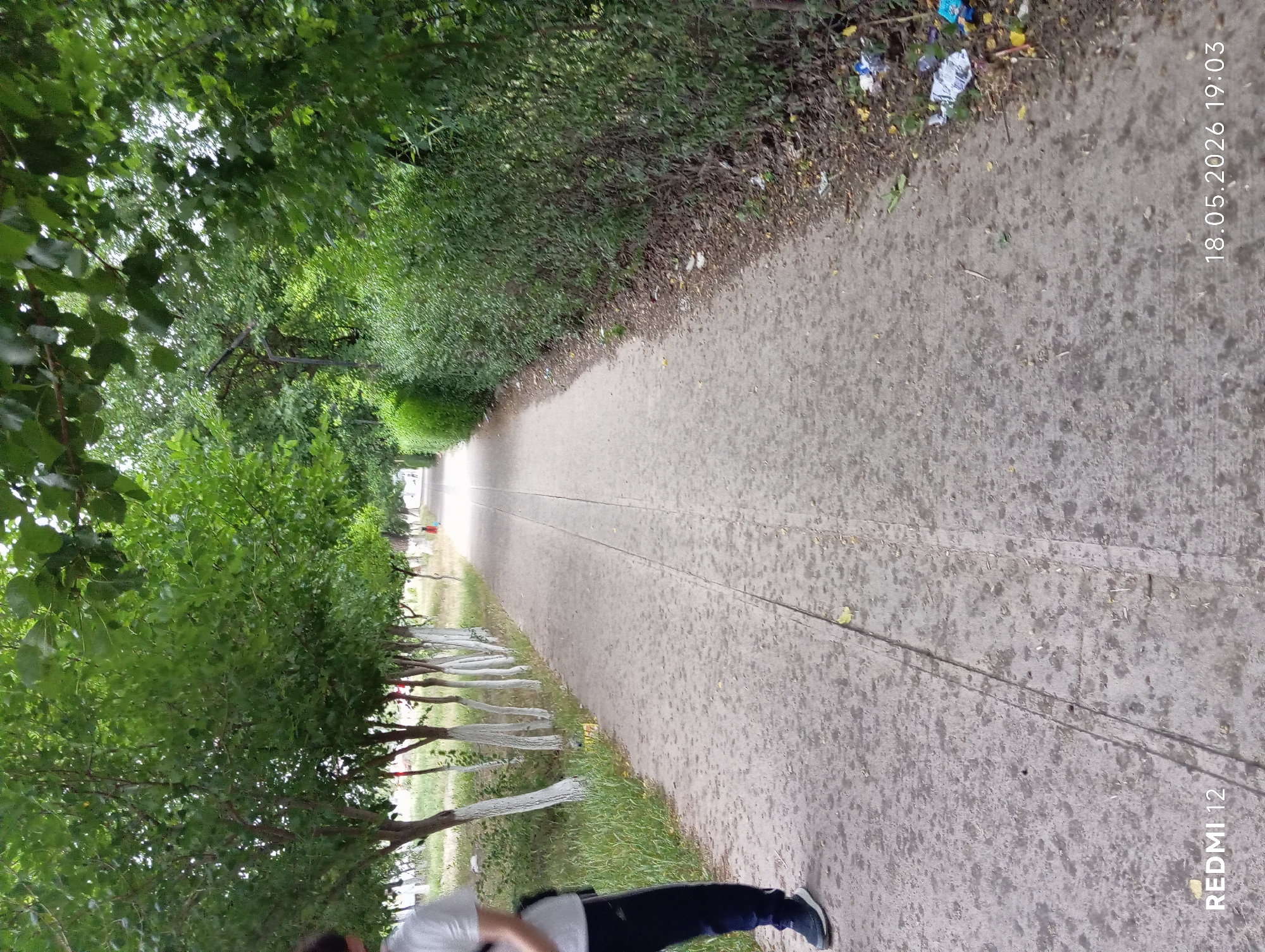 A medium-shot captures a tree-lined pathway in Bekabad, Uzbekistan. The path is composed of gray pavement and stretches into the distance, with a line bisecting its center. Lush green trees and bushes flank both sides of the path, with the trunks of some trees painted white. Debris litters the right edge of the path. A person wearing a white shirt, dark pants, and blue shoes is walking on the right side of the path in the foreground. The date "18.05.2026 19:03" is digitally imposed on the upper right corner. The words "REDMI 12" appear on the bottom right.