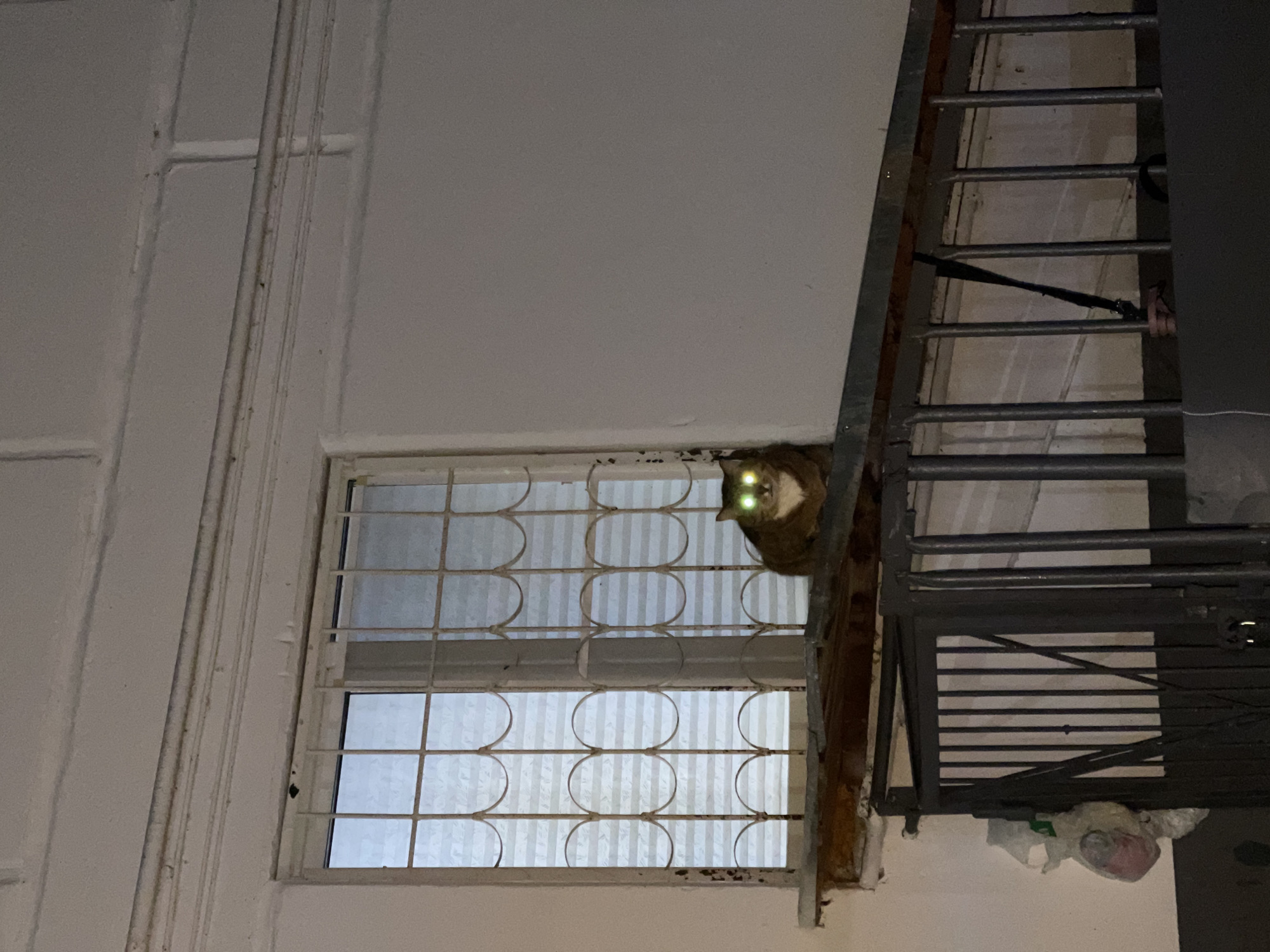 A vertical, eye-level shot depicts a pale, drab exterior view, likely at night. A window with a patterned grate obscures the view into the interior, revealing only a dim light. A cat, partially visible, sits on the window ledge, its eyes glowing green in the darkness. To the right, a metal fire escape ladder is affixed to the building. The location is possibly Chaikovsky, Russia.