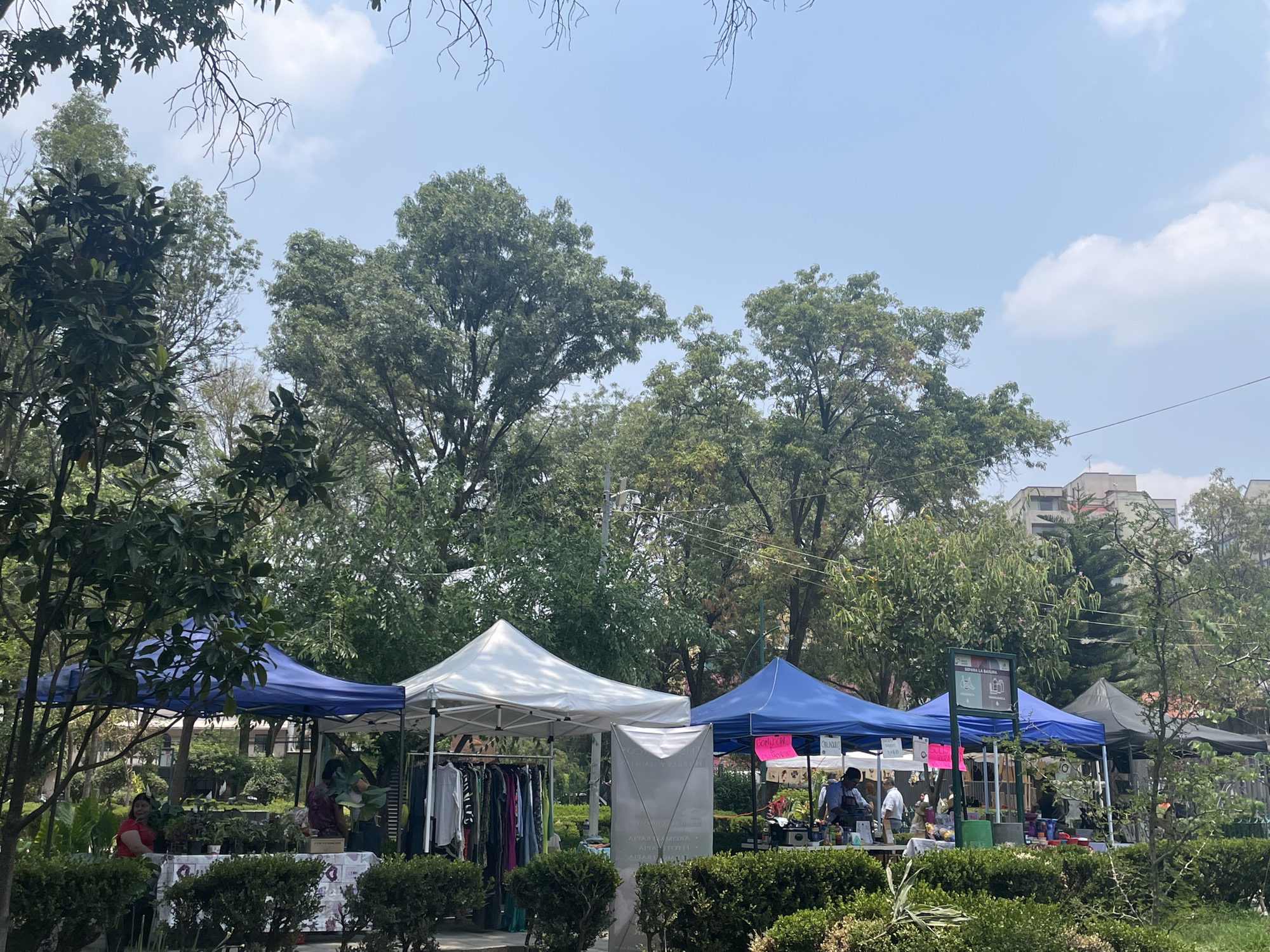 This image depicts an outdoor market scene in what appears to be a park in Mexico City, Mexico. There are several vendor tents set up, primarily blue and white, with people browsing and interacting with the vendors. The tents house various items, including clothing and plants. Lush green trees surround the market area, and a building is visible in the background. The sky is light blue with scattered clouds. The market appears to be well-attended, and the environment is green and natural.