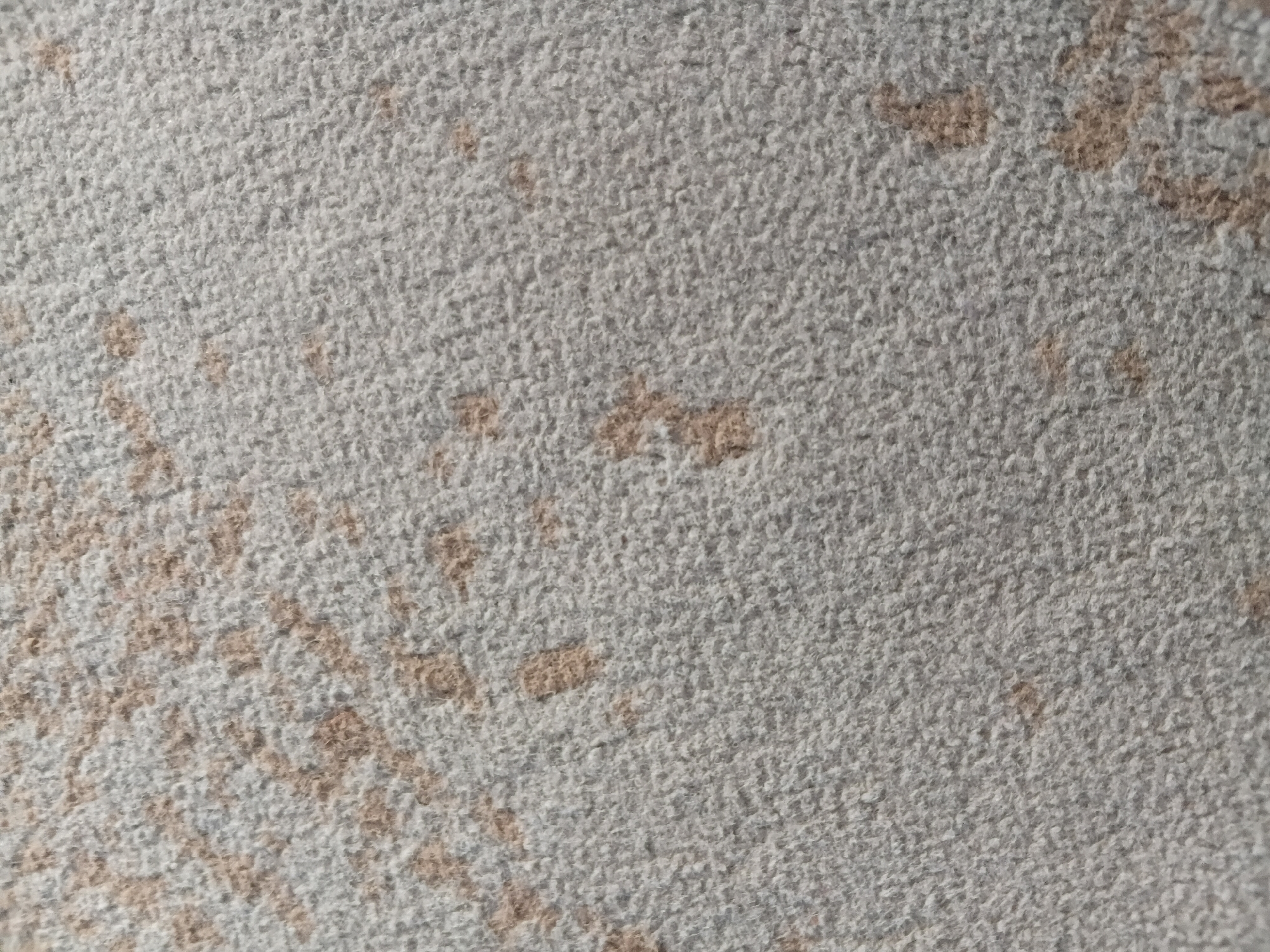 The image displays a close-up, overhead view of a textured surface, likely a carpet or rug. The primary color is a light grey with a subtle flecked pattern of light brown or tan. The texture appears to be short, dense pile. Scattered across the surface are irregular splotches of a darker brown or reddish-brown color, resembling stains or marks. The lighting suggests an indoor environment, casting minimal shadows and providing even illumination. There are no people or discernible objects other than the surface itself visible in the frame. The image offers no contextual information regarding its location in Tanggul Wetan, Indonesia, or any specific environmental details.