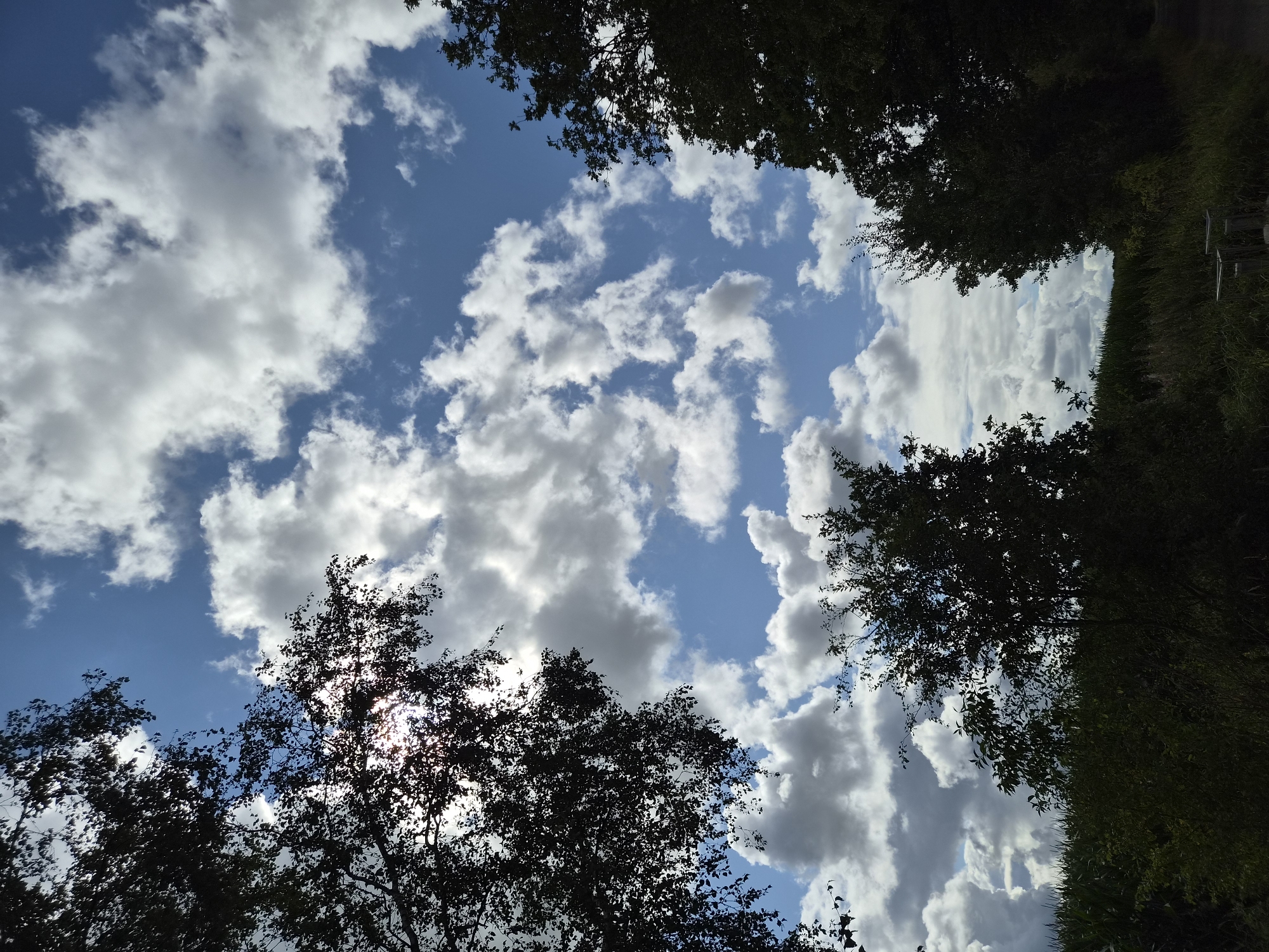 The image depicts a view of the sky filled with white and gray clouds against a bright blue background. Silhouetted trees frame the sky on the left, top, and right sides. The lower portion of the image shows a dark, overgrown landscape with what appears to be tall grass and foliage, possibly a field or undeveloped land. The sun is visible peeking through the leaves of a tree on the left, creating a lens flare effect. The scene is likely outdoors, in a natural or semi-natural setting, with no people or specific man-made structures clearly identifiable besides possibly a hint of a path or structure in the lower right. The location in Schiffdorf, Germany is not visually indicated in the image itself.