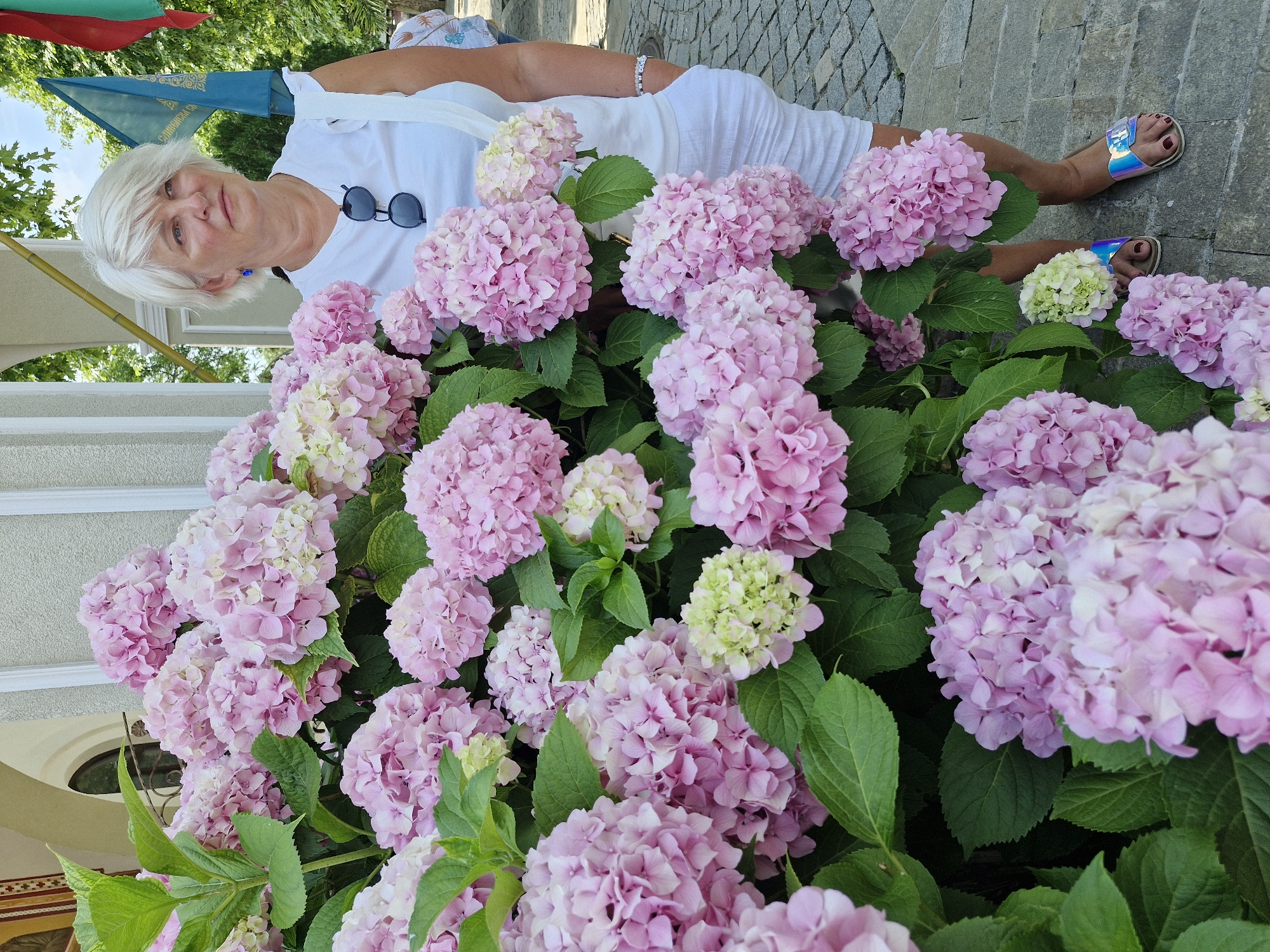 A medium shot captures an elderly woman standing beside a dense bush of pink hydrangeas. She has short, blonde hair and is wearing a white t-shirt and a white skirt. The woman is looking to her right, with sunglasses hanging from her t-shirt. Behind her, a portion of a building with an arched entrance and white columns is visible. The ground is paved with cobblestones. A blue flag with text and a red and green flag are also visible in the background. The scene is likely in Sozopol, Bulgaria, given the flags.