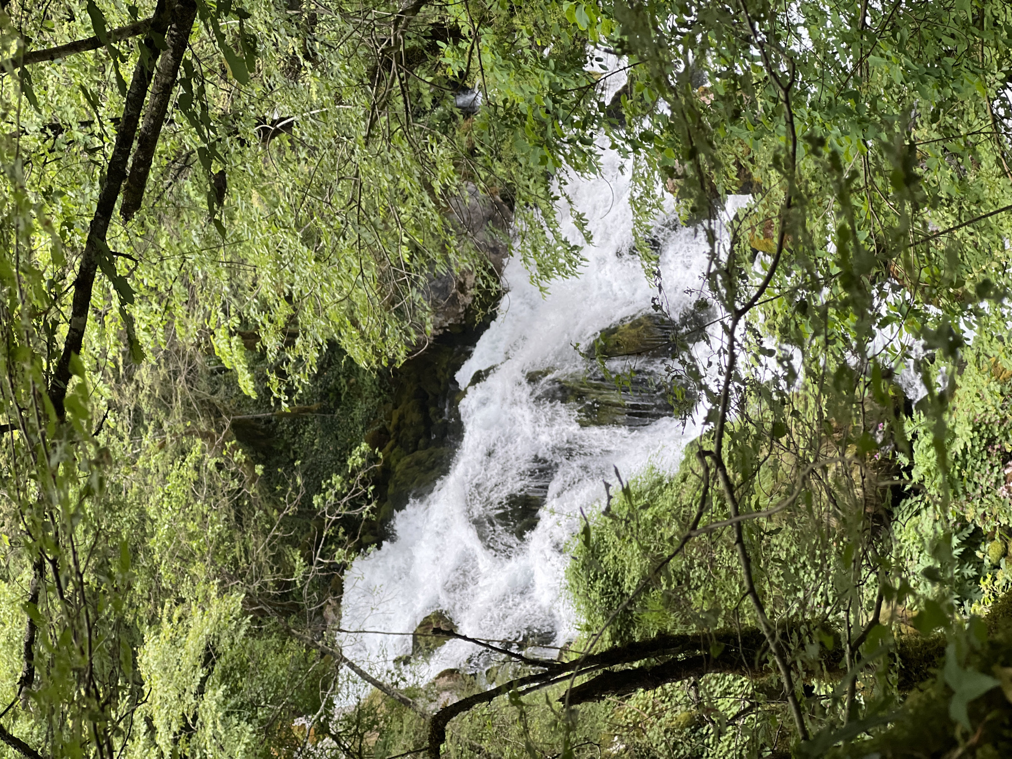The image shows a waterfall cascading down rocks in a lush, green environment, presumed to be in the vicinity of Lazba, Montenegro. The water appears white and frothy as it flows over the rocky terrain. The surrounding area is densely vegetated with various green plants and trees. Branches and foliage frame the waterfall, suggesting the image was taken from within a wooded area. No people are visible in the frame. The focal point is the waterfall itself and the surrounding natural environment.