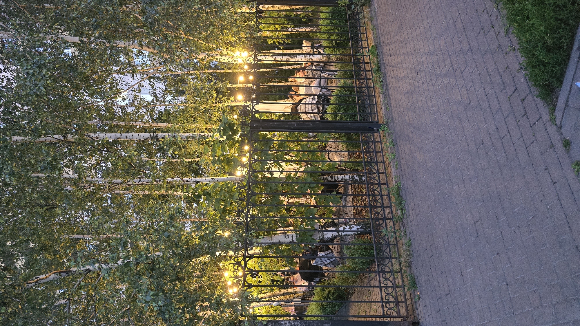 In Kyiv, Ukraine, a restaurant patio is visible through an ornate black metal fence. The patio is populated by several people seated at tables, some of whom are conversing. The area is illuminated by string lights draped across the fence and among the trees. The trees themselves are tall and slender with white bark and green foliage, creating a natural canopy. The ground on the patio appears to be paved with brick, and there are also hedges. In the foreground, a brick sidewalk is visible, with some sparse green vegetation growing along the edges. The time of day appears to be evening, as indicated by the artificial lighting.