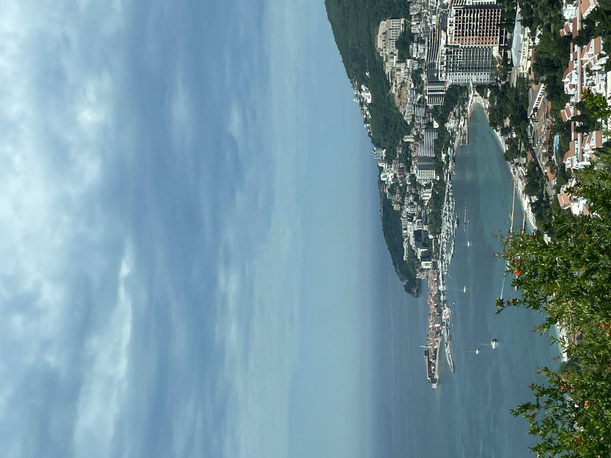 The image captures a coastal scene in Budva, Montenegro. The perspective is a high-angle view overlooking a coastline with a mix of urban development and natural features.
The coastline is densely populated with buildings, including hotels, apartments, and other structures, interspersed with green vegetation covering hillsides. The water is a turquoise color, suggesting clear conditions. Several boats and yachts are visible on the water.
On the right side of the image, there are foreground trees and foliage with red pomegranate flowers or fruits, giving depth to the composition. The sky is overcast, with various cloud formations and gradations of blue.