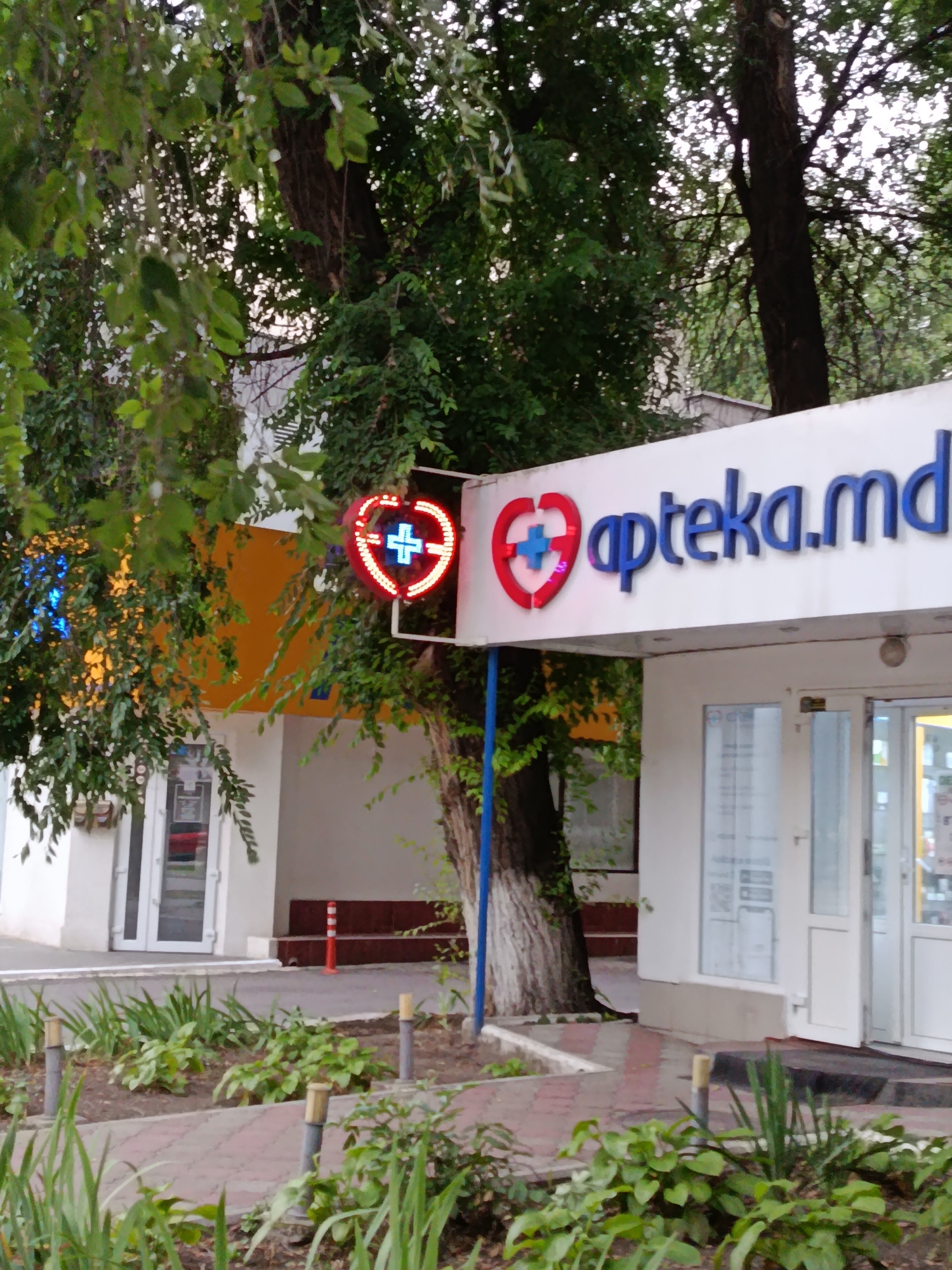 The image shows the exterior of an "Apteka.md" pharmacy, a common chain of pharmacies in Chișinău, Moldova. The pharmacy has a white facade with a prominent blue and red logo featuring a heart with a cross inside. The name "Apteka.md" is written in large, blue, stylized letters above the entrance. To the left of the pharmacy entrance, a tree with green foliage is visible, with some decorative blue and yellow lights hanging from its branches. The pharmacy appears to be situated in an urban area, with a paved walkway leading to the entrance and a small garden area with plants and decorative posts in front of it. A building with an orange exterior is partially visible to the left of the pharmacy. The scene is captured during daylight hours.