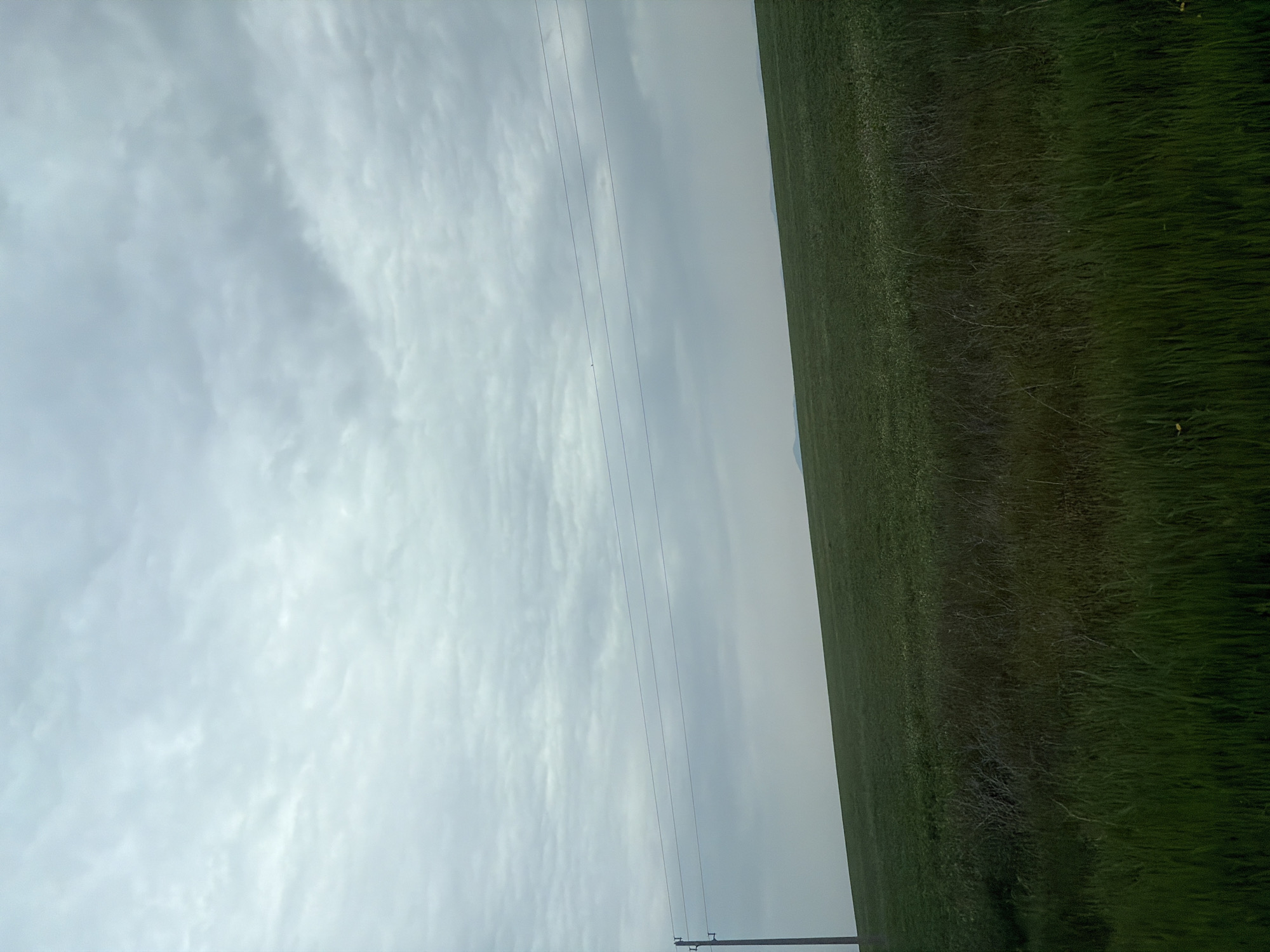 The image shows a rural scene, possibly near Boliartsi, Bulgaria, but without specific landmarks, confirmation is impossible. A green field occupies the right portion, transitioning to a slightly hazy or overcast sky to the left. Power lines stretch across the sky. A utility pole is present in the lower portion of the image. The sky is uniformly gray, suggesting cloud cover. The field appears to consist of vegetation, with varying shades of green. No people, animals, or other objects are clearly discernible.