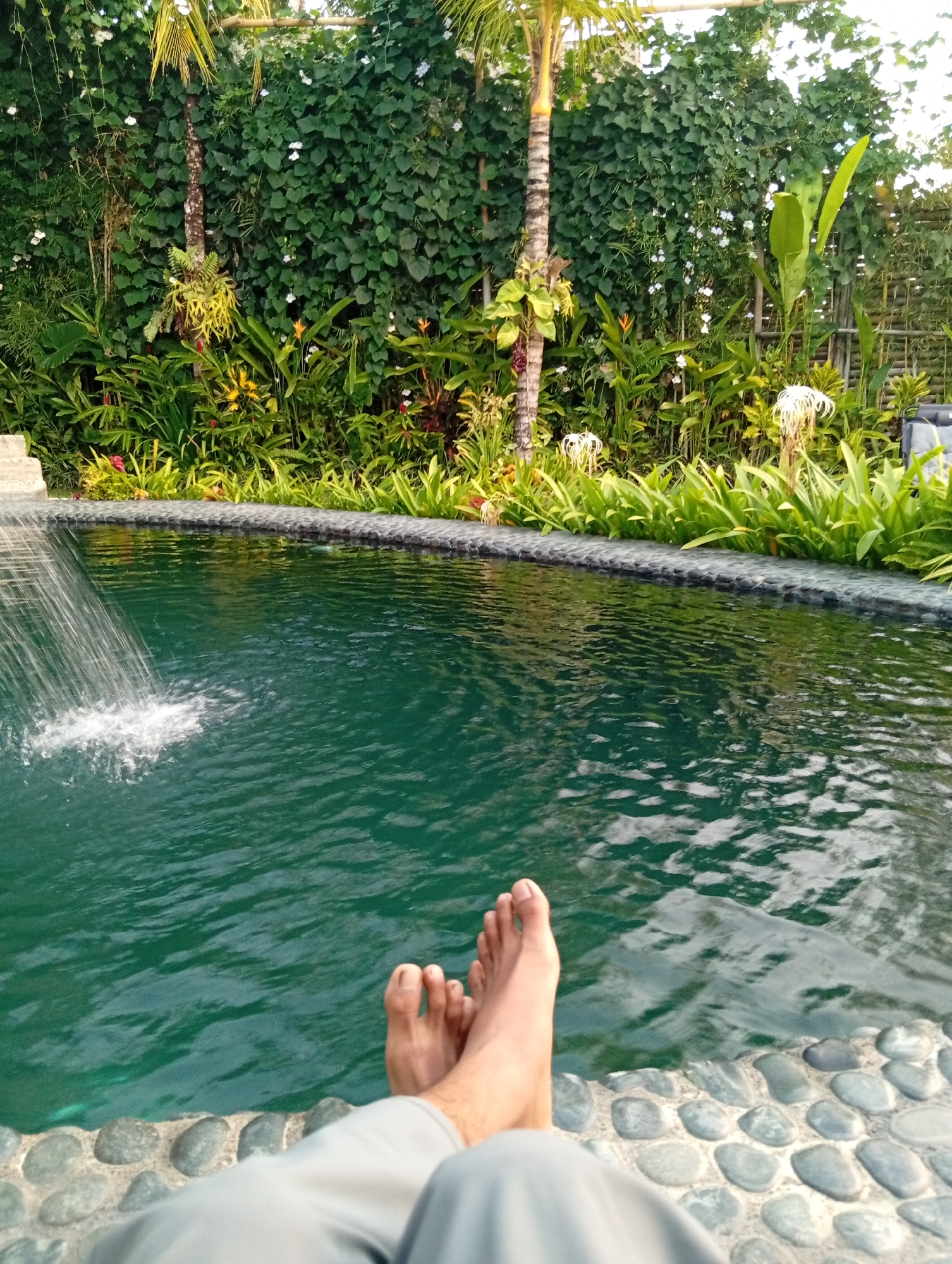 A person's feet and lower legs are visible in the foreground, resting on the edge of a swimming pool. The pool is filled with dark green water, and a small waterfall or fountain is visible on the left side of the image, creating ripples. The pool edge is lined with smooth, grey stones. Behind the pool, a lush green wall of vegetation is visible, with a variety of plants, including palm trees and flowering vines. Some white flowers are scattered throughout the foliage. The lighting suggests it is daytime, possibly late afternoon. The scene appears to be an outdoor setting, likely a private residence or resort in Tampaksiring, Indonesia, given the tropical vegetation.