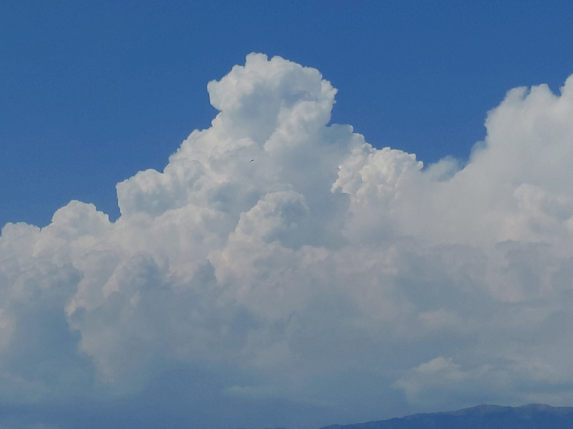 The image displays a bright blue sky filled with large, fluffy white cumulus clouds. The clouds are dominant in the frame, with their peaks reaching high into the sky and their bases extending across a significant portion of the image. A very small, dark silhouette of a bird is visible in flight against the clouds. In the distance, the faint outline of a mountain range can be seen at the bottom of the image. The scene is devoid of any urban elements, suggesting an open, natural environment. There is no specific information in the image that links it to the Municipal Unit of Aegio, Greece.