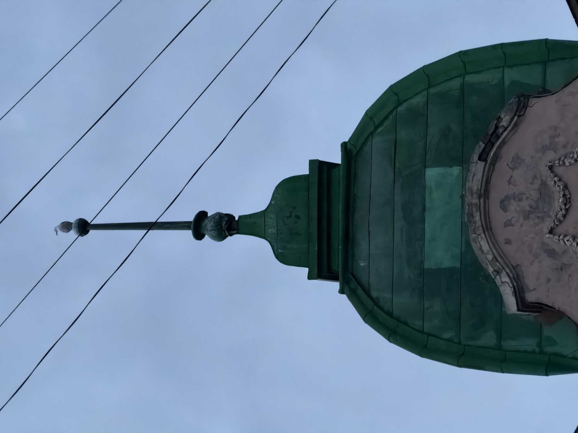 A seagull stands perched atop a finial of a green domed structure, likely part of a building in Saint Petersburg, Russia. The finial itself is a slender spire topped with a small spherical ornament, upon which the bird is positioned. Below the finial, the dome is clad in dark green, segmented panels, reflecting the overcast sky. A decorative architectural element, appearing weathered and possibly ornate, is visible at the base of the dome. Extending from the upper right of the frame are several thin, dark lines, which are consistent with overhead electrical or telecommunication wires, a common sight in urban environments. The sky is a uniform, pale blue-grey, suggesting cloudy or twilight conditions.