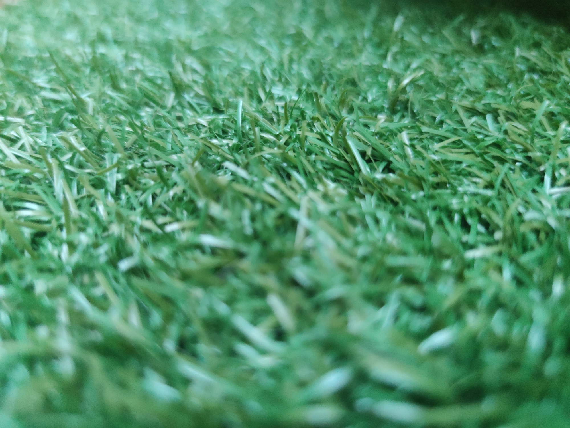 The image shows a close-up view of artificial green grass, lacking details to specify any city and/or location. No people, subjects, objects, actions, interactions or other environmental elements are present.