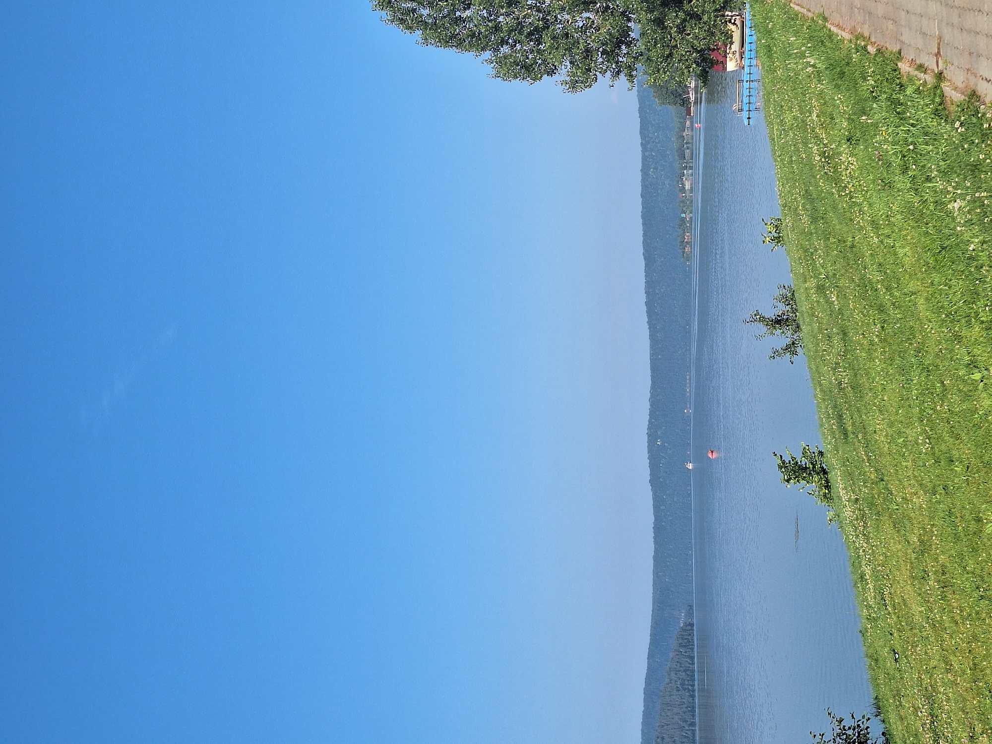The image captures a serene daytime scene of a wide, calm body of water, likely a river or lake, bordered by a lush, grassy embankment on the right. The water extends towards a distant, forested shoreline with rolling hills under a clear, bright blue sky. A few small boats are visible on the water, and a red buoy floats near the middle ground. The grassy slope is dotted with small white flowers, and a paved walkway runs along the edge of the embankment. A large tree with dense green foliage stands prominently on the far right, partially obscuring the sky and the distant landscape. The overall impression is one of natural beauty and tranquility. This scene appears to be located in the vicinity of Atamanovka, Russia, known for its scenic natural landscapes.