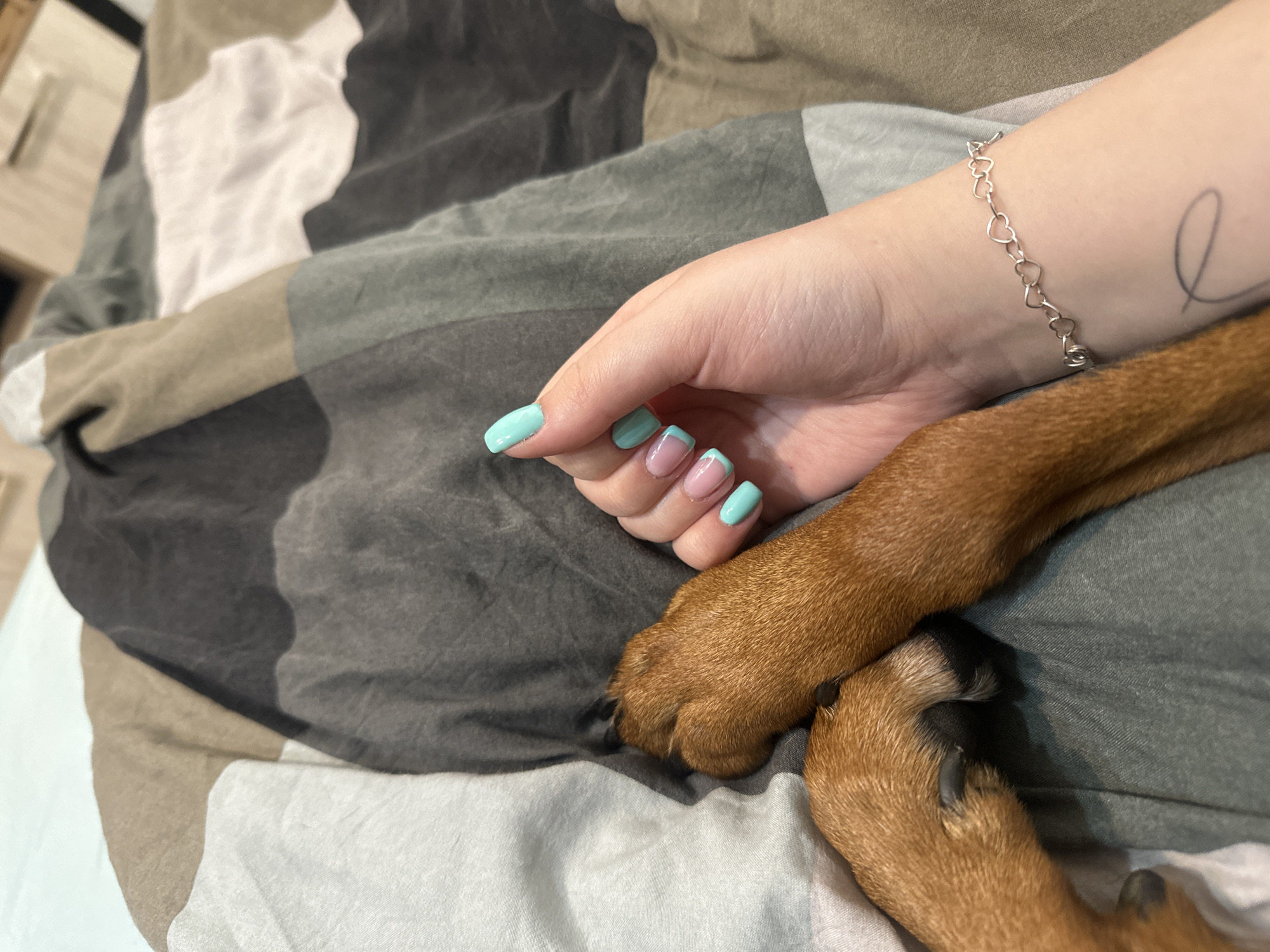 A close-up shot depicts a human hand with manicured nails resting near a dog's paw on a patterned bedspread. The nails are painted light blue, with one nail having a French tip design. The human arm is adorned with a silver heart bracelet and a tattoo. The dog's paw is brown with black nails. The bedspread has a patchwork pattern with gray, white, tan, and black squares. The background is slightly out of focus. There is no indication of the city of Varna, Bulgaria.