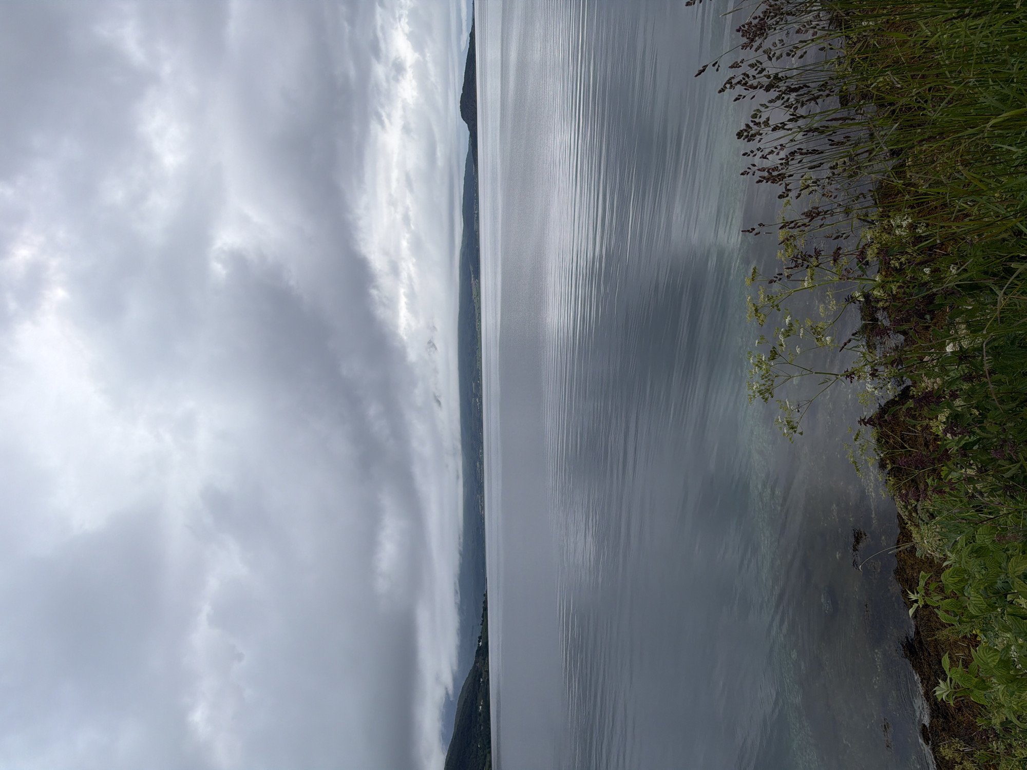 A vertical, eye-level shot captures a tranquil view of a body of water, likely a fjord or bay, near Harstad, Norway. The sky is overcast with heavy, grey clouds, casting a subdued light on the scene. The water's surface is calm, with gentle ripples reflecting the cloudy sky. In the distance, a hazy, low-lying landmass forms the horizon, with faint signs of vegetation and possibly a few scattered buildings. The foreground features a rocky, moss-covered shoreline dotted with various plants, including tall grasses and delicate white-flowered plants. The water is shallow near the shore, revealing a glimpse of the seabed. The overall impression is one of quietude and natural beauty under a somber sky.