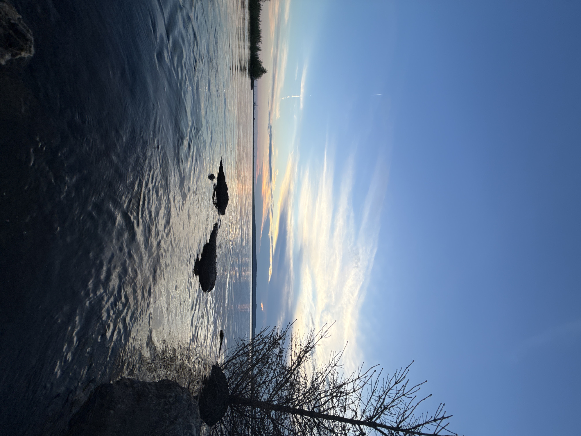 The image shows a serene lake at dusk, with a clear blue sky transitioning to softer hues near the horizon. Wispy clouds are visible, painted with delicate strokes of pink and yellow from the setting sun. A bare tree with intricate branches stands prominently on the right, silhouetted against the sky and water. In the foreground, dark rocks peek out from the calm water, their shapes softened by the rippling surface. The distant shoreline is lined with low-lying vegetation and appears to have industrial structures in the far distance. The overall atmosphere is tranquil and captures the quiet beauty of nature at the end of the day.