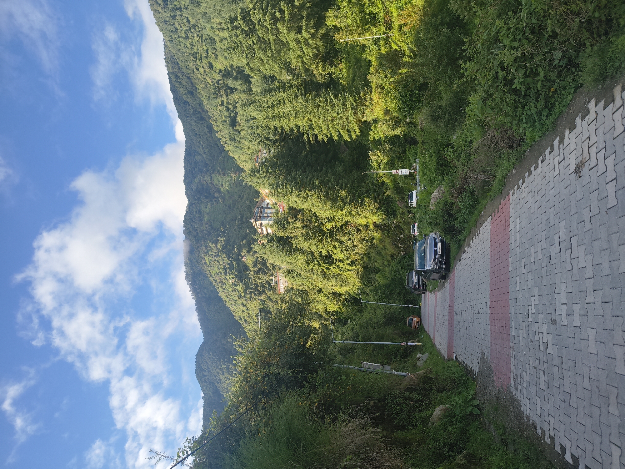 A paved pathway, made of interlocking grey and red bricks, leads uphill through a lush, mountainous landscape. The pathway is lined with dense green foliage and tall pine trees. Several cars are parked along the right side of the pathway. In the distance, buildings are visible nestled amongst the trees on the mountainside. The sky above is a vibrant blue, with scattered white clouds. The scene appears to be a scenic route or a pedestrian walkway in a hilly, forested area.