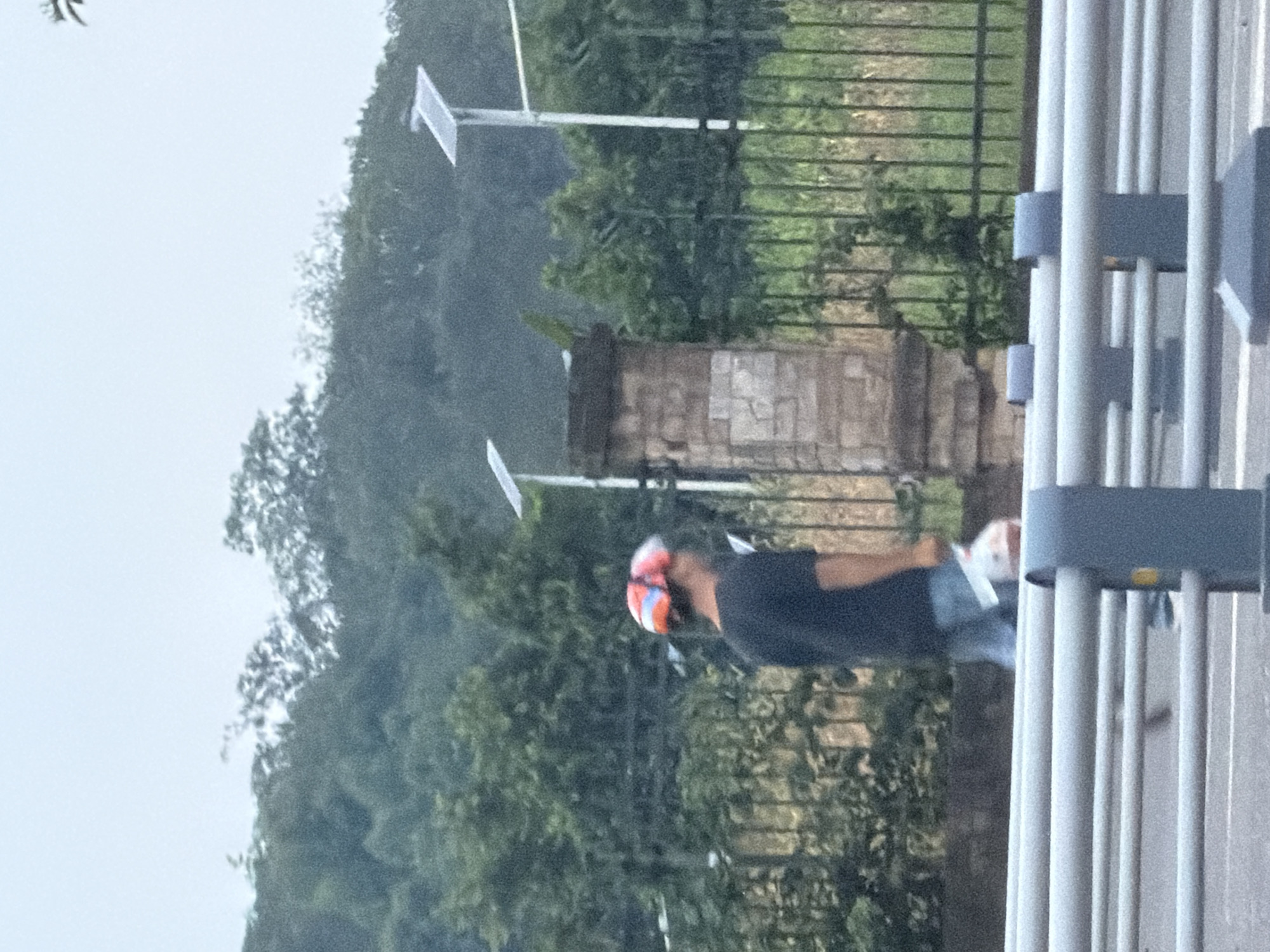The image depicts a person walking with a plastic bag in their right hand and wearing a colorful helmet. The background shows a lush green hillside with trees and a cloudy sky. In the mid-ground, there is a black metal fence, a brick structure, and two solar panels on poles. The foreground features a grey metal railing. This scene is located in the city of Jiangjin, China.