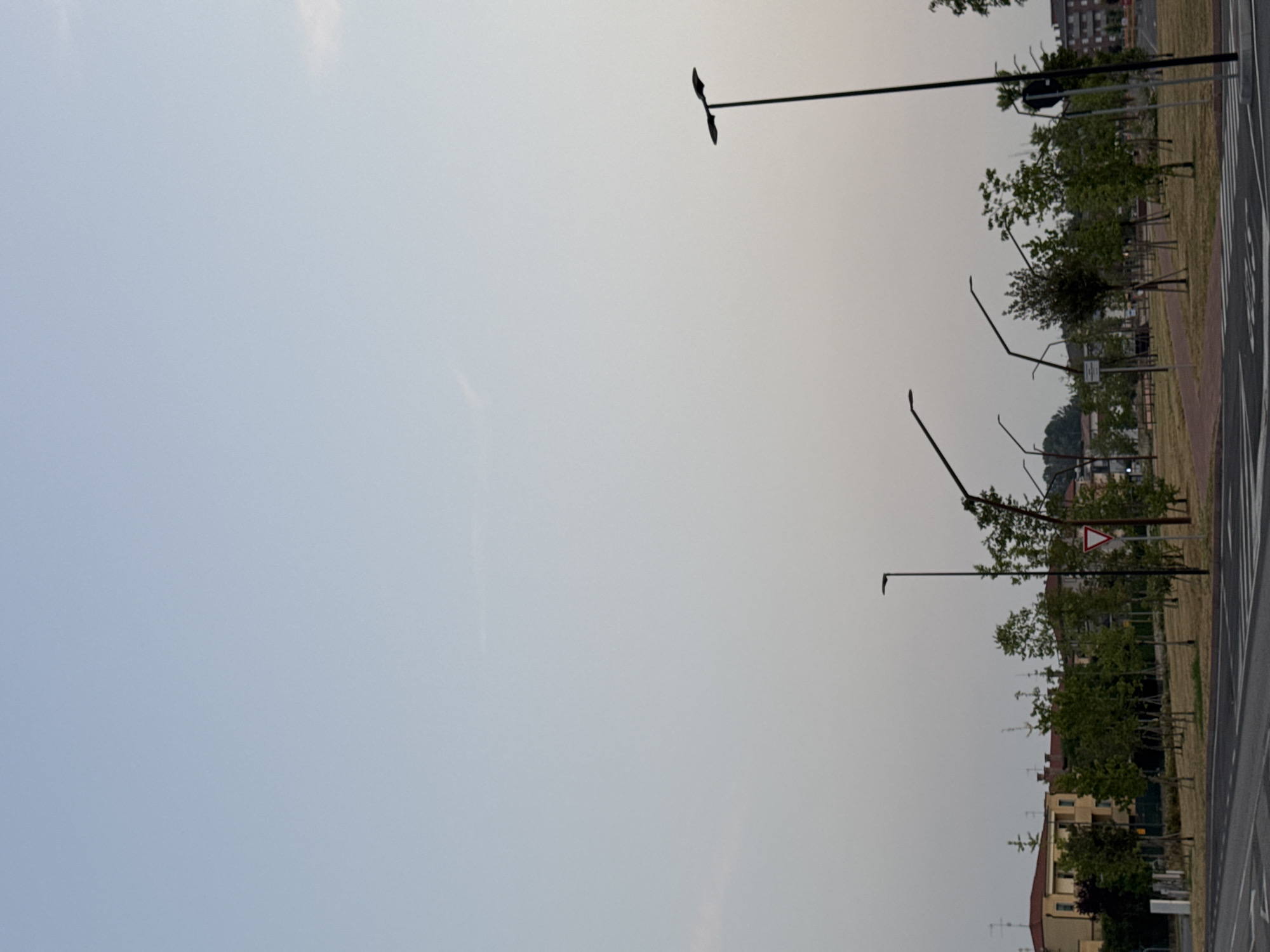 The image captures a street scene in Mejaniga, Italy, at dusk. The sky is a pale, hazy blue, suggesting low light conditions. In the foreground, a paved road with crosswalk markings is visible. To the right, a tall, slender streetlamp stands out against the sky. Further into the scene, a park area is dotted with young trees and more modern-looking streetlights with angled heads. Behind the park, residential buildings with terracotta roofs are visible, interspersed with trees. The overall atmosphere is quiet and urban, with a focus on the infrastructure of the street and park.