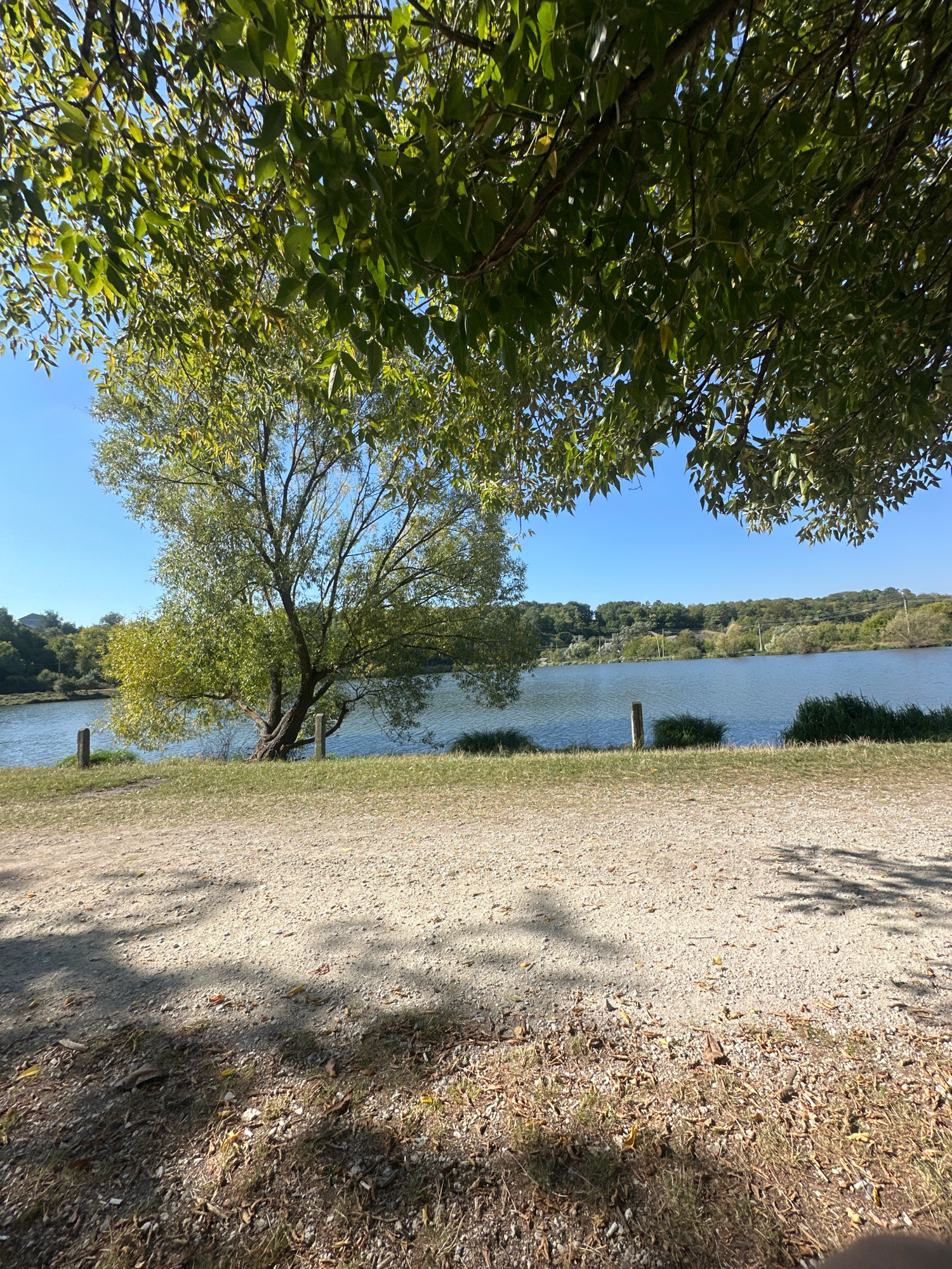 This image depicts a tranquil natural scene by a body of water. In the foreground, a dirt and gravel path runs horizontally across the frame, scattered with fallen leaves and illuminated by dappled sunlight casting shadows from overhead foliage. To the left of the path, a grassy embankment slopes down towards the water. A large, leafy tree with a thick trunk and spreading branches stands prominently on this embankment, its leaves a mix of green and yellow, suggesting it may be autumn.
Beyond the embankment is a calm, blue lake that extends to the horizon. The far bank of the lake is lined with a dense forest of green trees, and a clear, bright blue sky stretches above. Two wooden posts are visible on the grassy area near the water's edge, one closer to the tree and another further to the right. The overall atmosphere is peaceful and serene, indicative of a park or recreational area.
The location is identified as the city of Makiv, Ukraine.