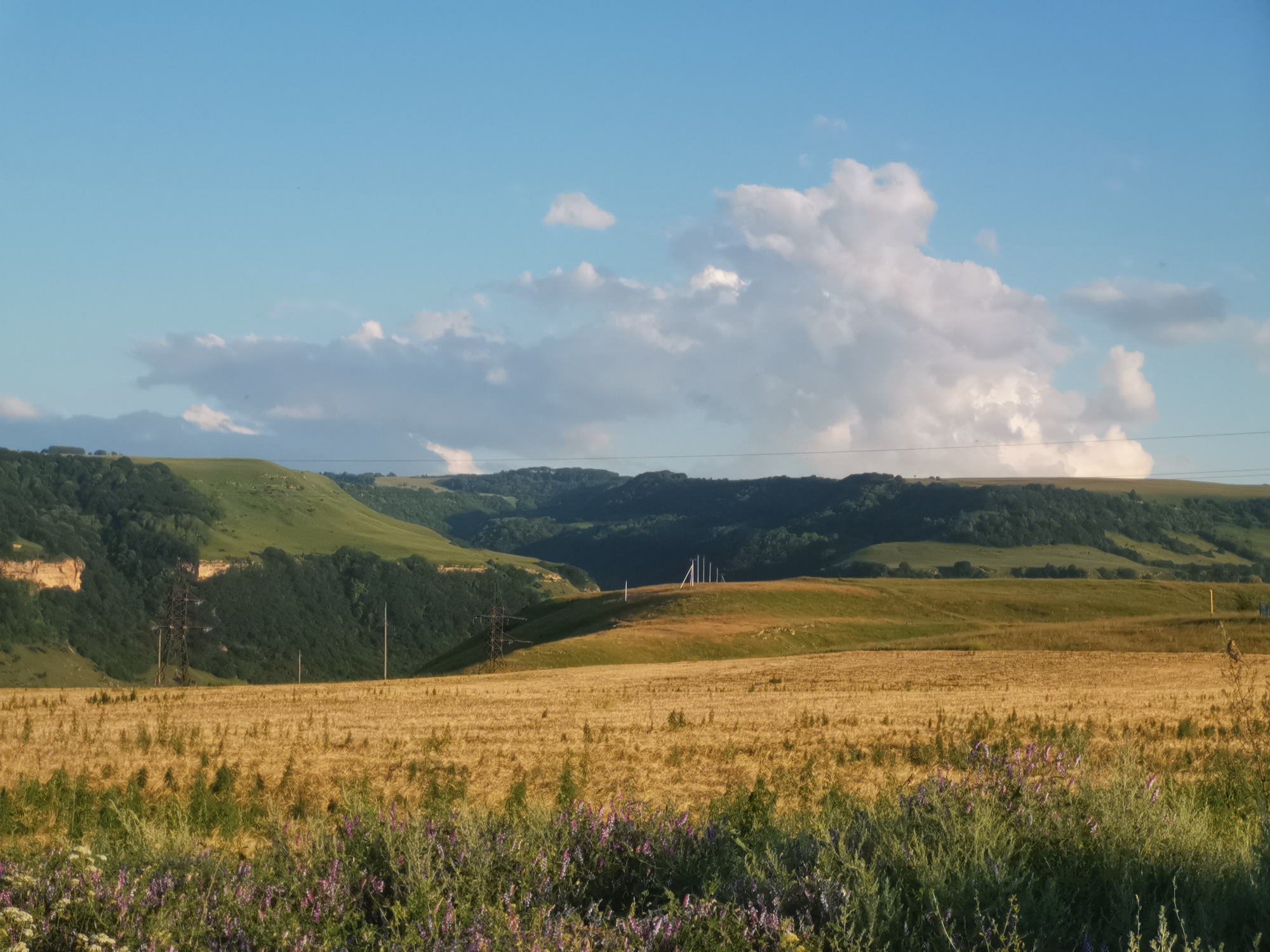 An exterior, wide shot captures a rural landscape under a bright, partially cloudy sky. In the foreground, a field of dry, golden wheat stretches across the scene, with a strip of green vegetation and purple wildflowers at the very bottom edge. Behind the wheat field, rolling green hills are visible, with some appearing treed and others covered in grass. A large, dark power line tower is prominent on the left side of the frame, situated on one of the hills. Further back, more layered hills recede into the distance, the furthest ones appearing as a dark green, tree-covered silhouette against the sky. Several tall, thin white poles, possibly part of a communication array, are clustered on a distant hilltop. Power lines are also faintly visible stretching across the sky in the upper portion of the image. The lighting suggests it is either early morning or late afternoon, casting long shadows and illuminating the landscape with a warm glow. This scene depicts the natural beauty of the rural outskirts of Kubina, Russia.
