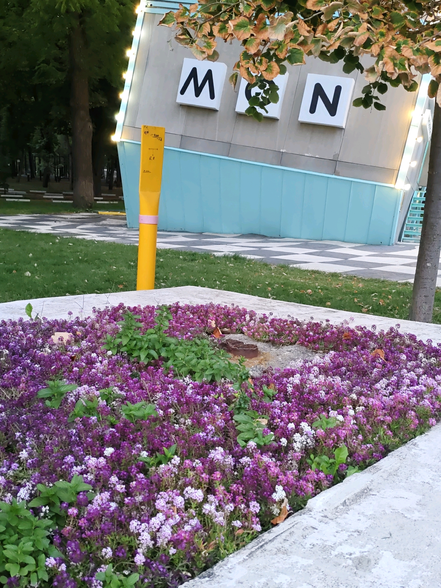 In Rostov-on-Don, Russia, a vibrant flower bed overflows with purple and white blossoms in the foreground, bordered by a light-colored concrete path. Behind the flowers, a bright yellow pole with pink and orange markings stands tall. Beyond the pole, a modern building with a light gray facade and a turquoise lower section is visible. Three white squares with black letters "M," "G," and "N" are affixed to the building's facade, illuminated by string lights. A tiled checkered pathway leads towards the building. Lush green trees with dark trunks frame the background.