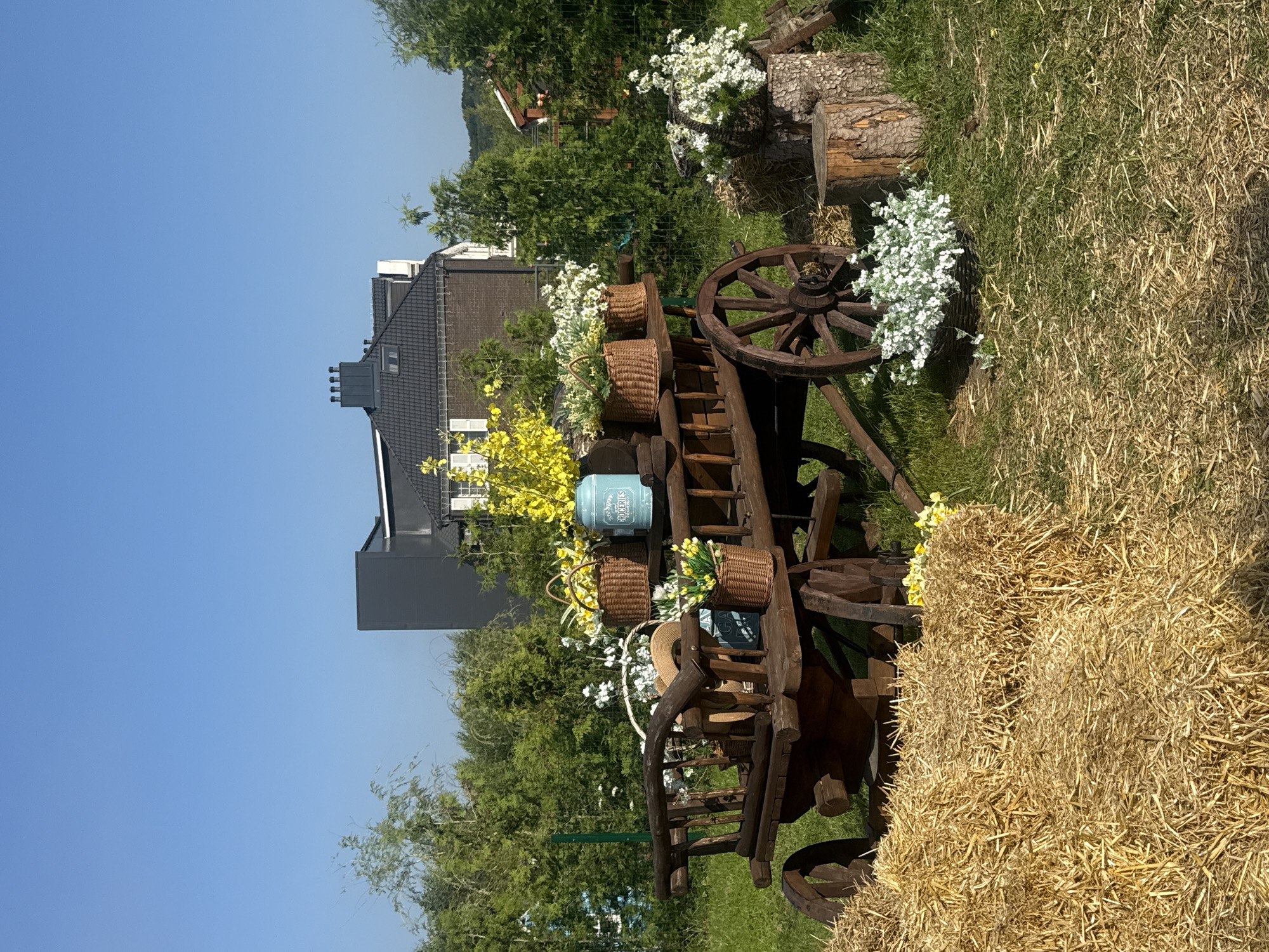 This is a medium shot, eye-level, exterior photograph of a rustic wooden cart laden with flowers and decorative items, situated outdoors on a sunny day with a clear blue sky. The cart is the central focus, appearing to be part of a garden or event decoration. It is made of dark, weathered wood and has large spoked wheels. The cart is filled with various baskets containing white and yellow flowers, as well as a light blue vintage-style canister. Behind the cart, a dense line of green trees forms the background. Two houses with dark roofs are visible above the trees, suggesting a suburban or rural setting. To the left of the cart, several bales of straw are stacked. To the right, tree stumps are used as pedestals for more baskets of flowers. The ground is covered in green grass and scattered straw. The scene is peaceful and appears to be a staged display.