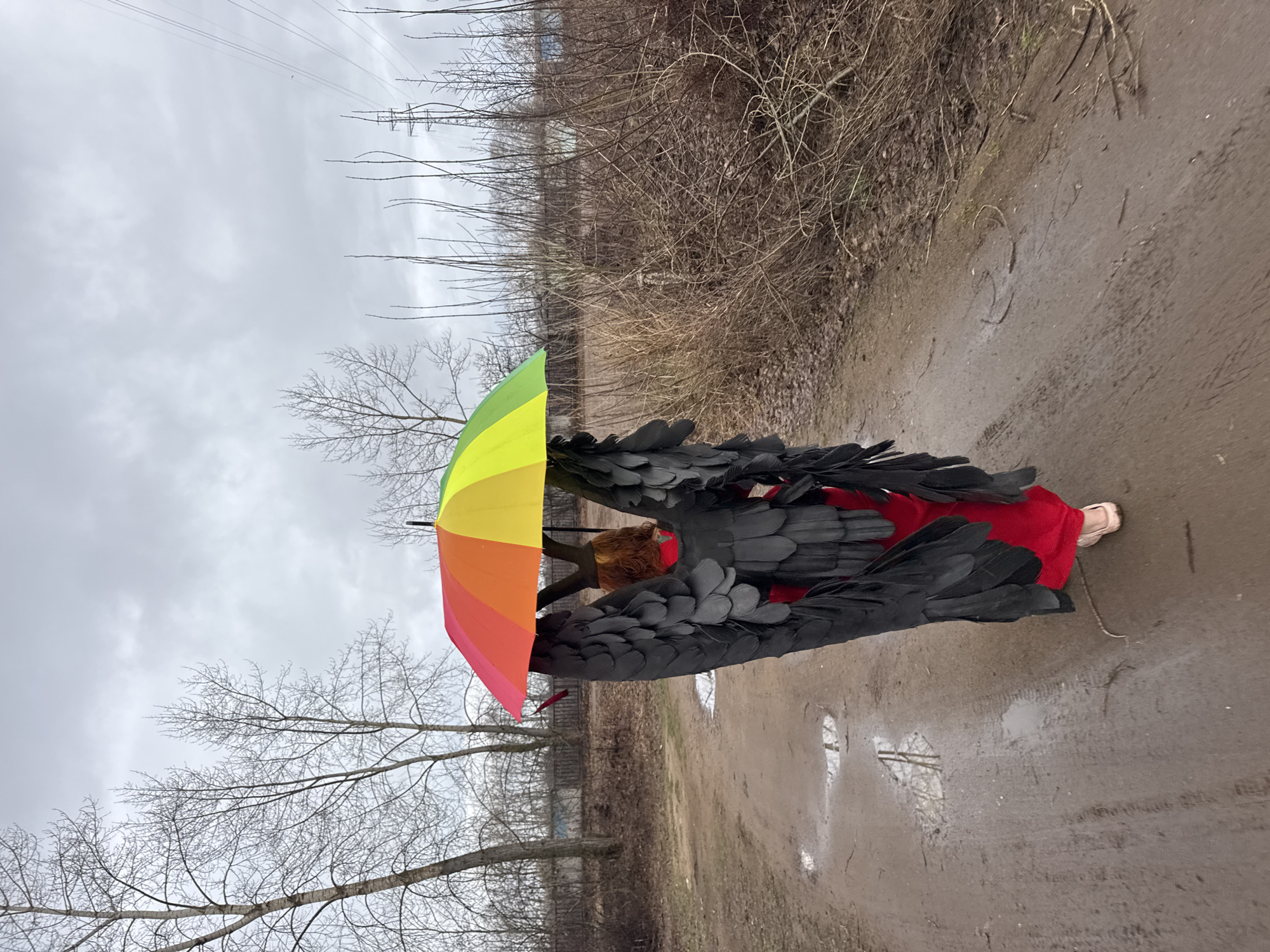 A person dressed in a red garment with large black feathered wings stands on a muddy path under a rainbow umbrella. The location appears to be an unpaved path adjacent to a field of dry vegetation, bare trees, and an overcast sky. Power lines are visible in the background. The location is the city of Chaikovsky, Russia. There are puddles on the muddy ground, reflecting the sky and trees. The person is facing away from the camera.