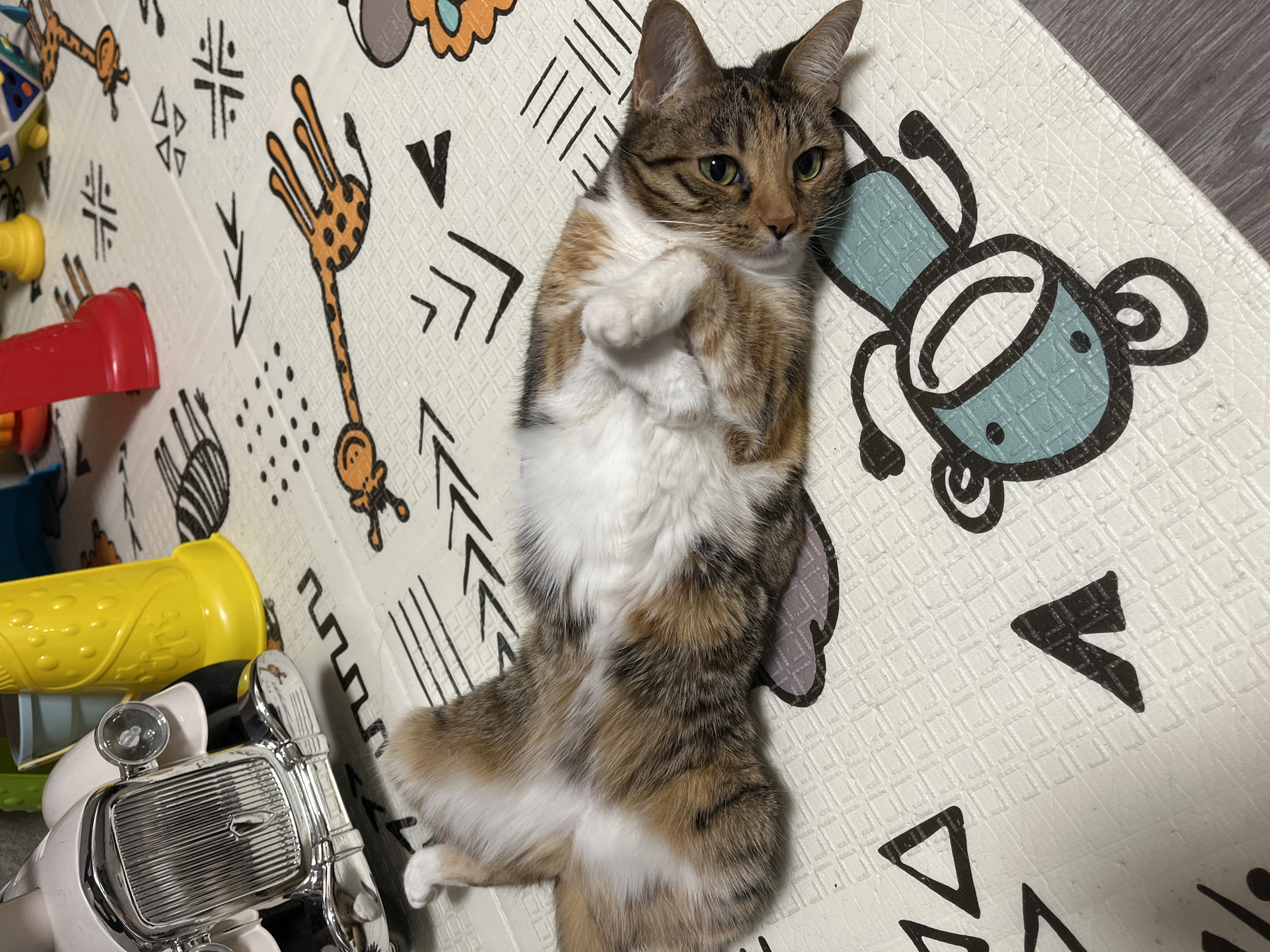 A calico cat is lying on its back on a white playmat with cartoon animal designs. The cat has green eyes and its paws are curled up towards its chest. In the background, there are children's toys, including a yellow cone-shaped toy and a red toy. The playmat features a repeating pattern of embossed squares and black line drawings of giraffes and other abstract shapes. The lighting suggests an indoor setting. There is no information in the image to suggest a location in Nizhny Novgorod, Russia.