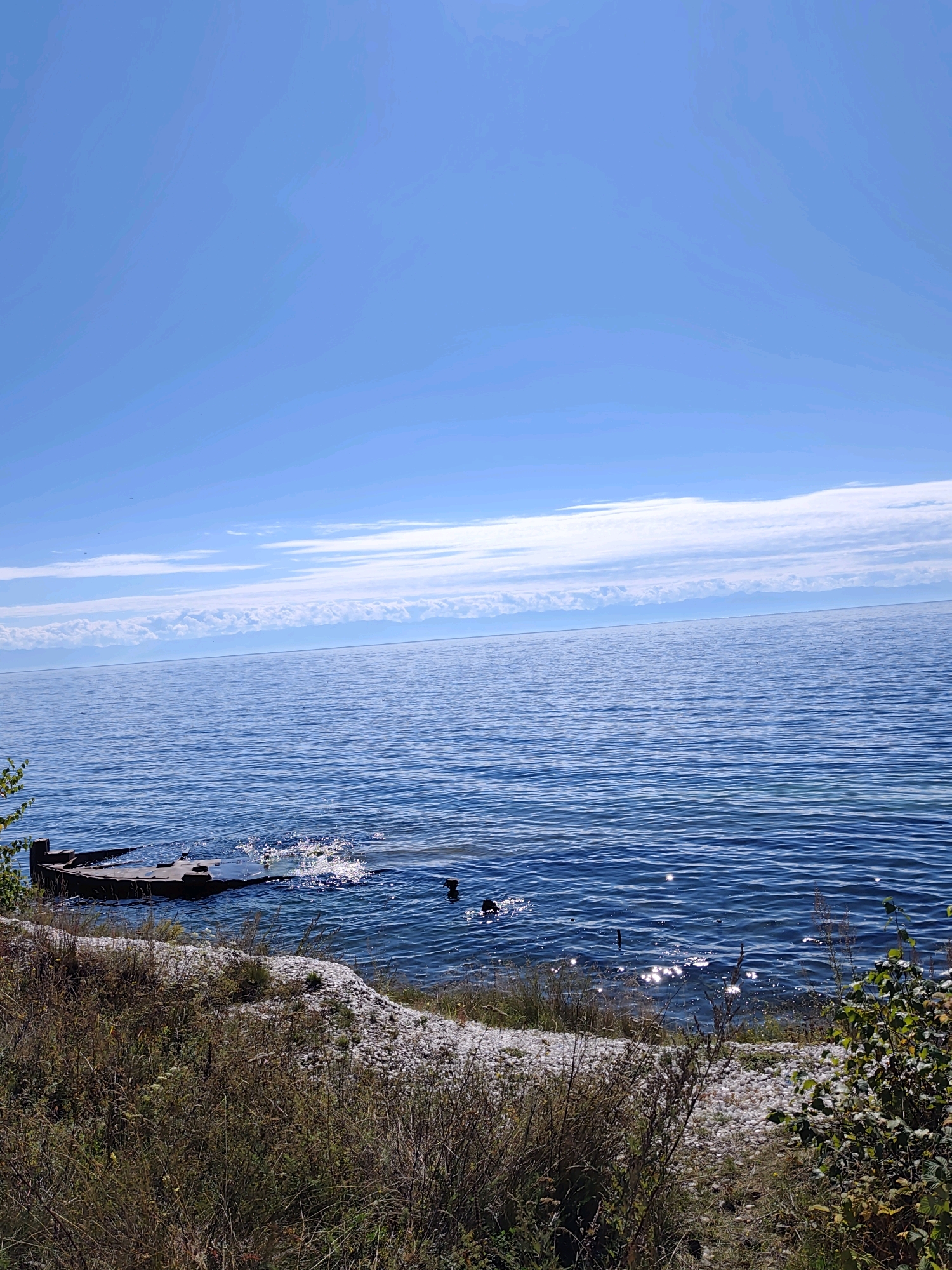 A serene natural landscape unfolds with a vast expanse of deep blue water under a clear sky. The water is gently rippled, reflecting the sunlight in shimmering patterns. In the foreground, the rocky shoreline is covered with dry grasses and sparse vegetation. A partially submerged, rusted metal structure, possibly part of a dock or an old boat, rests in the shallow water near the shore. The horizon is marked by a distant, hazy mountain range beneath a band of white clouds. The scene evokes a sense of peaceful solitude in a natural environment.