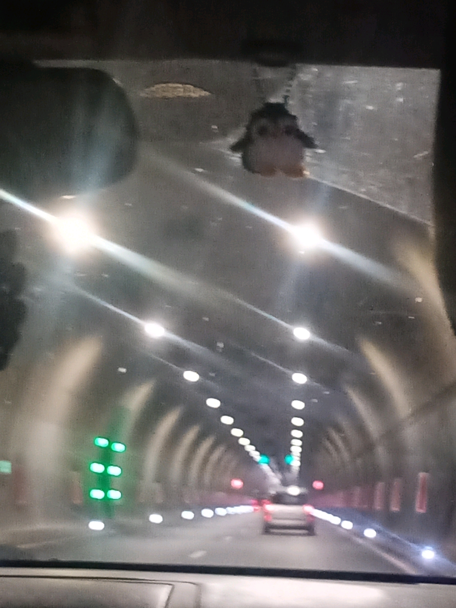 The image shows the interior of a vehicle driving through a tunnel. A stuffed toy penguin is hanging from the windshield. The tunnel is illuminated by overhead lights and has traffic signals visible. The scene is captured from the perspective of a passenger or driver, looking forward through the windshield. The city of Jeleznitsa, Bulgaria, is mentioned in relation to the location, suggesting the tunnel is situated there. The image quality is low, with blurriness and lens flare obscuring some details.