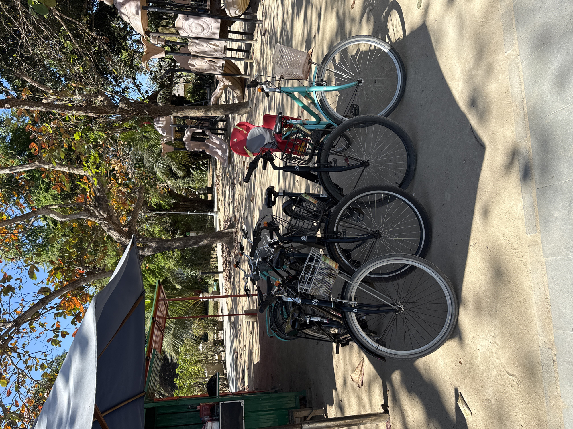 The image depicts a row of bicycles parked on a sandy surface beneath trees, suggesting an outdoor recreational area. In the background, a playground with slides and climbing structures is visible, along with a small structure that appears to be a kiosk or food stand. Several trees with dappled sunlight casting shadows on the ground surround the area. The bicycles are varied in color and design, some equipped with baskets. The overall scene suggests a casual, family-friendly environment. The location is identified as Denpasar, Indonesia, hinting at a tropical or subtropical climate given the foliage and sunny conditions. There are no people visible in the image.