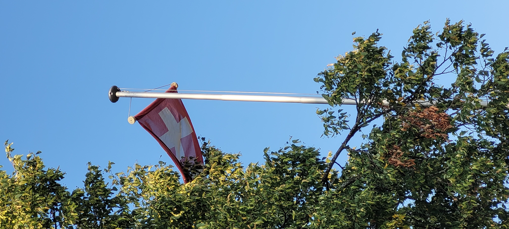 The image shows a Swiss flag flying from a flagpole. The flag is red with a white cross. The flagpole is metallic and has a circular object at the top. The flag is partially obscured by the branches of a tree with green leaves. The sky is clear and blue. The scene is likely outdoors.
