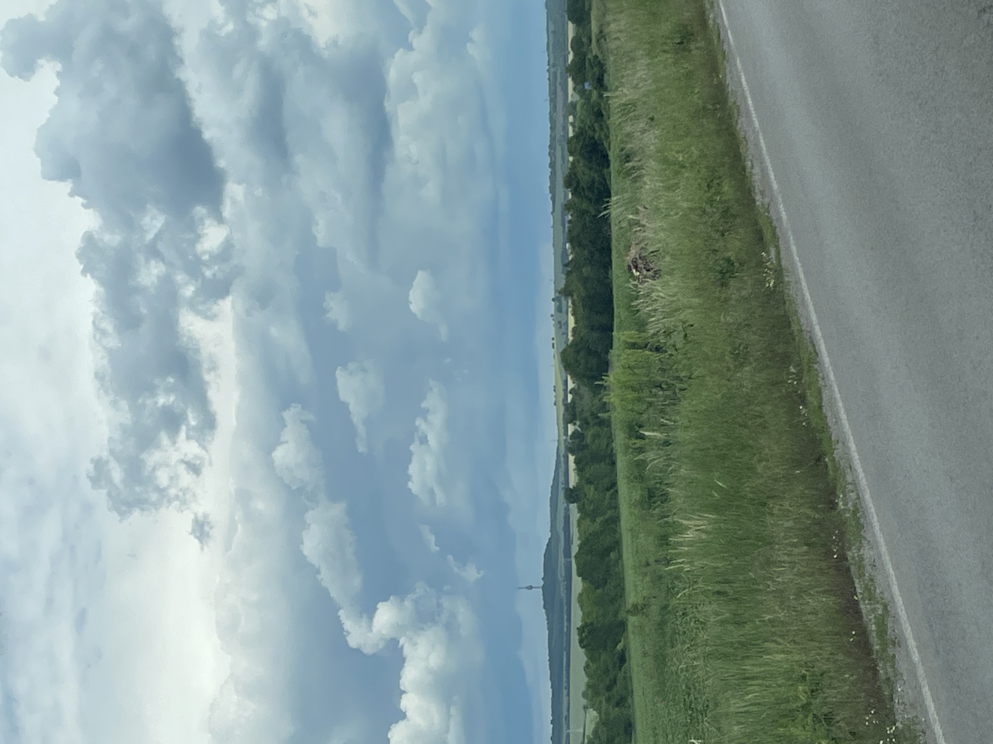 The image shows a landscape view in Getsovo, Bulgaria. A cloudy sky occupies the left portion of the frame. To the right, a green field stretches alongside a road. A line of trees runs through the middle ground. A tall tower is visible in the distance, on the horizon.