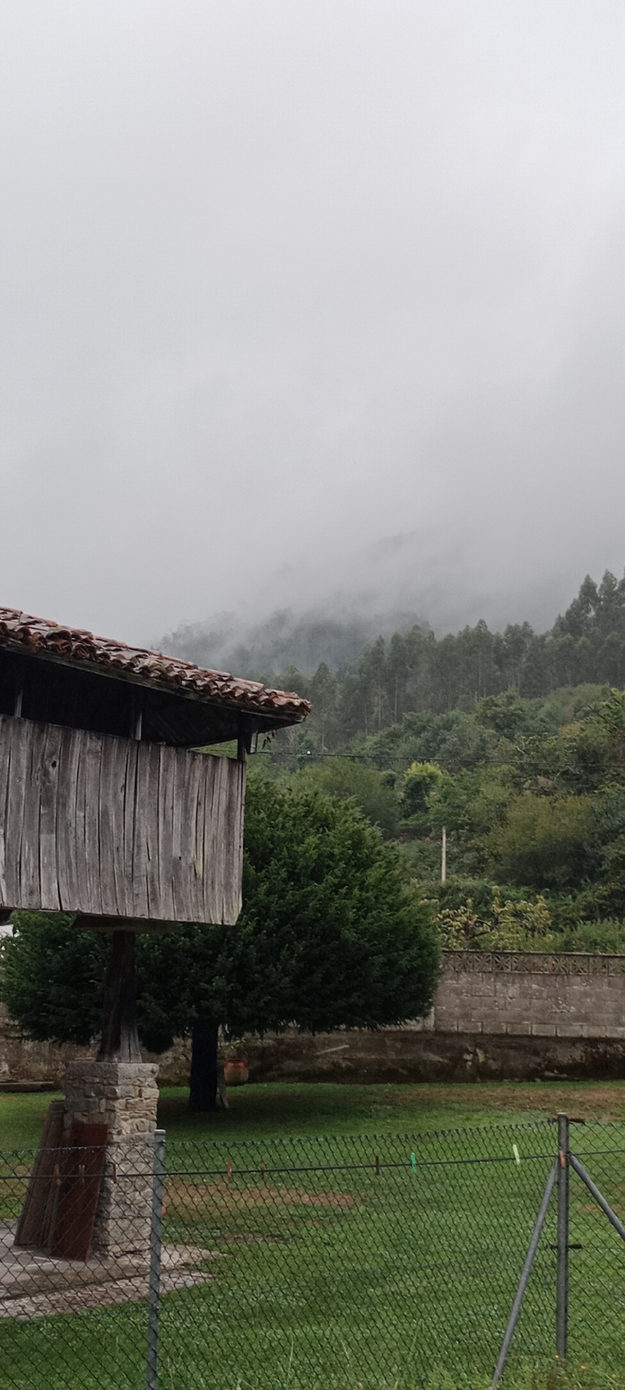 The image depicts a rustic, weathered wooden structure with a tiled roof, likely an Hórreo, a traditional granary common in northern Spain. The Hórreo is situated in a grassy area, with a chain-link fence in the foreground. Behind the Hórreo, a dense forest covers a misty hillside. The sky is overcast and foggy, obscuring the tops of the mountains. The overall impression is one of a rural, possibly damp, atmosphere. This scene is likely located in the city of Pravia, Spain, given its architectural style and the typical landscape of the region. There are no people or animals visible in the image. The focus is on the landscape and the traditional structure.