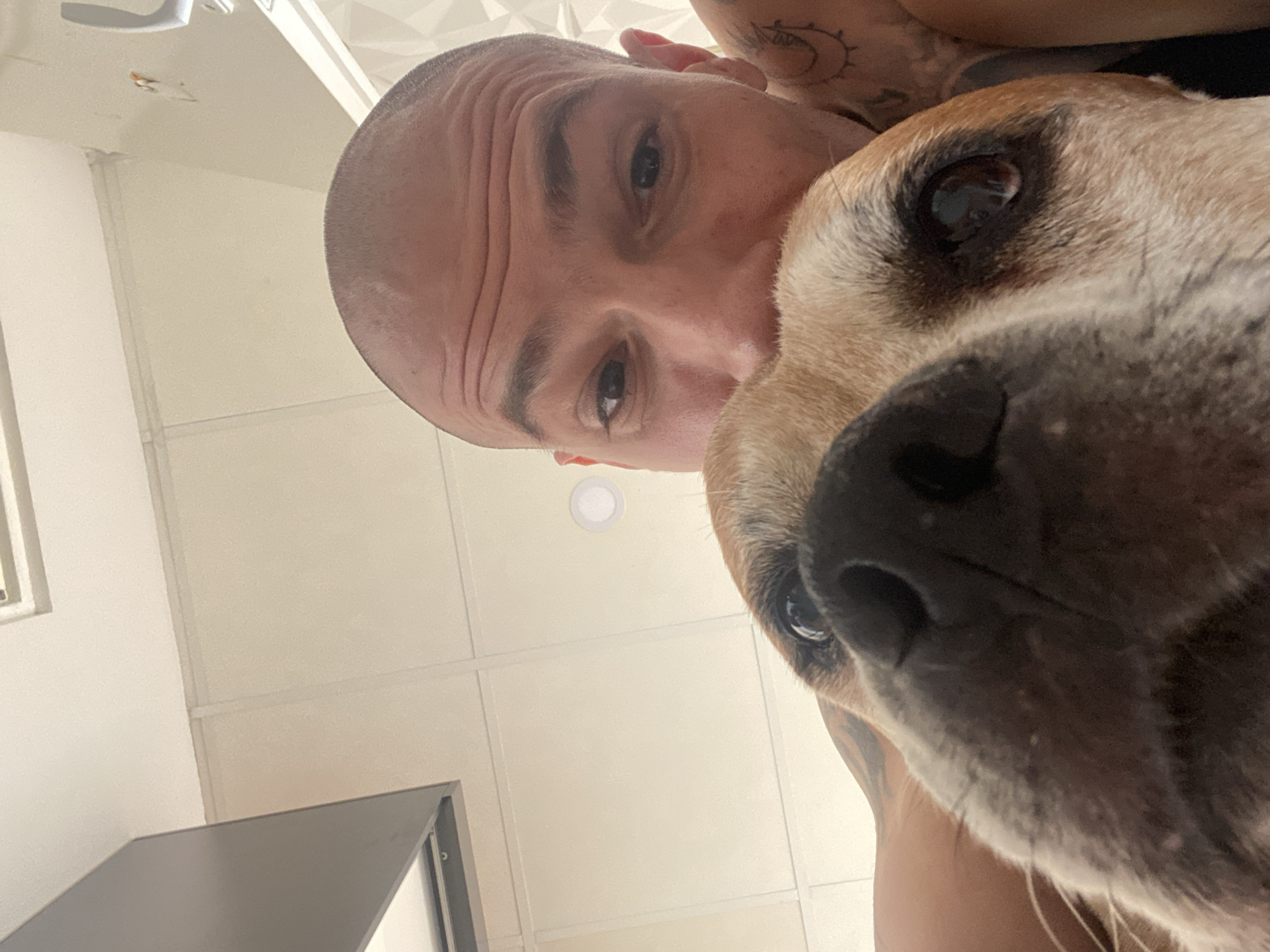 A man with a shaved head and a tattoo is closely positioned with a tan and brown dog, likely indoors in a room with white ceiling tiles and fluorescent lighting. A gray door or panel is visible in the lower left corner. The location is Pleven, Bulgaria.