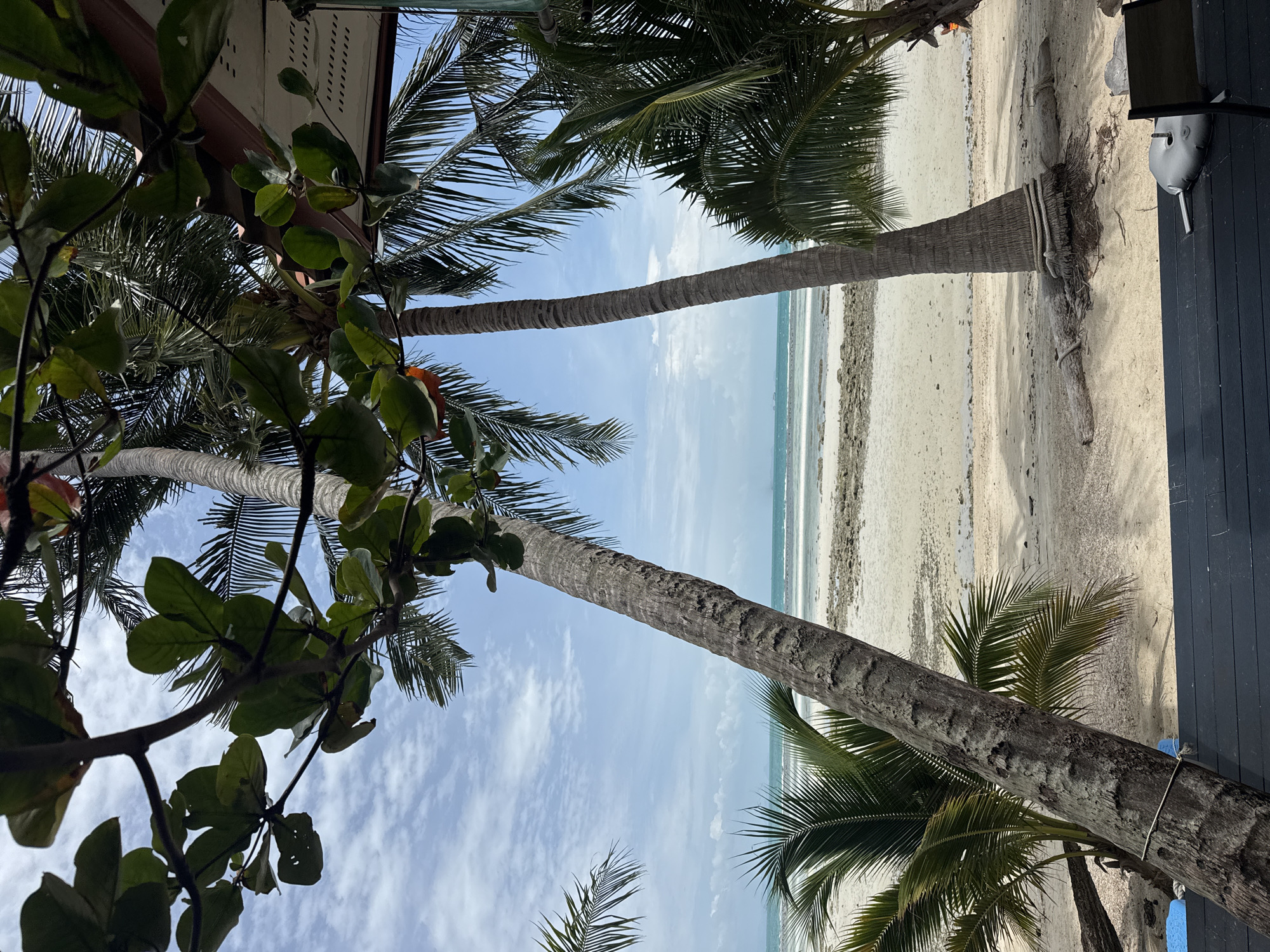 The image captures a beach scene in the Ko Samui District of Thailand. In the foreground, a dark wooden deck with a small, silver object rests on it, possibly a stand for an umbrella, is visible. Two palm trees dominate the center and right of the frame, their trunks weathered and textured. One palm leans diagonally towards the left, its fronds creating a silhouette against the sky. Another palm stands more upright on the right, its fronds also framing the view.
Beyond the palms, a sandy beach stretches out, dotted with rocks and debris. The shallow turquoise water of the sea meets the shore, with the horizon line marked by a pale blue sky filled with scattered white clouds. A hint of what appears to be land or islands can be seen in the distance on the horizon. In the upper right corner, a portion of a roof structure with visible rafters is visible, suggesting a nearby building or shelter. The overall scene is a tranquil depiction of a tropical beach.