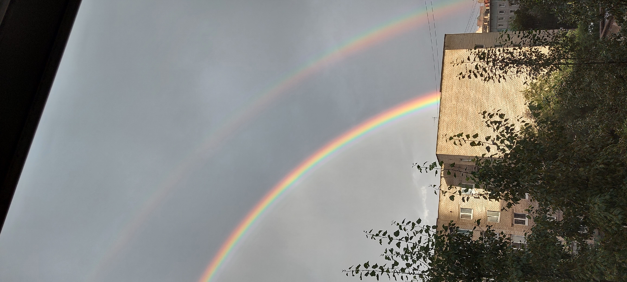This is a photograph taken outdoors in Chita, Russia. The sky is overcast with a grey hue, and two prominent rainbows are visible arcing across the sky. In the foreground, partially obscuring the view of a building, are dense green trees with leafy branches. The building appears to be made of light-colored brick and has multiple windows. The overall scene suggests a post-rain or stormy weather condition.