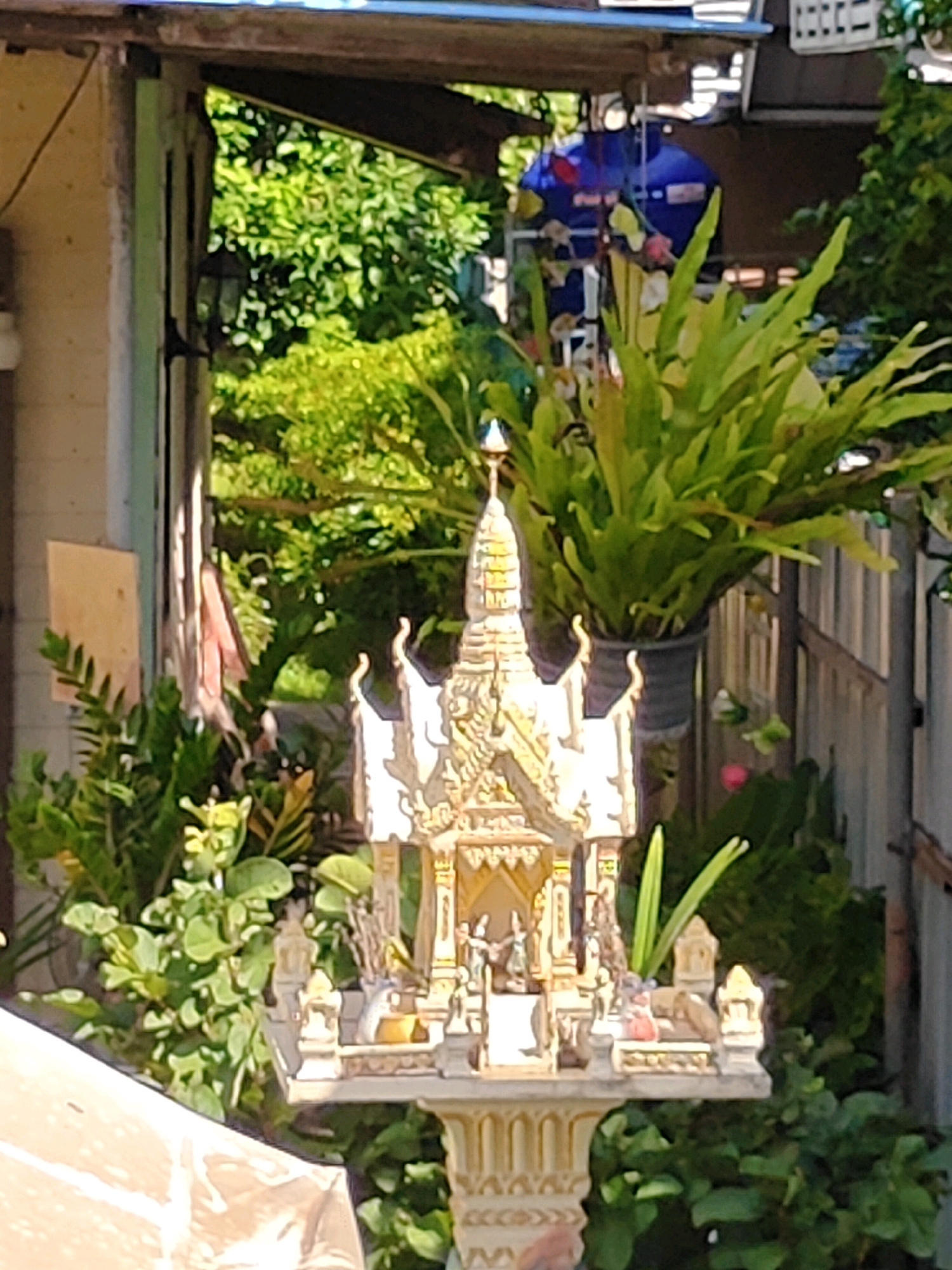 An ornate, multi-tiered spirit house, possibly a San Phra Phum, stands in the foreground against a backdrop of lush greenery. The spirit house is predominantly white with gold accents, featuring intricate carvings and miniature figures. It is situated on a decorative pedestal with repeating patterned indentations. Behind the spirit house, various plants and foliage create a dense, natural environment. To the left, a portion of a building with a light-colored wall and a wooden beam is visible, suggesting a dwelling or structure. In the mid-ground, a large blue object, possibly a water tank, is partially obscured by a hanging basket of ferns. A wooden fence runs along the right side of the image. The overall scene appears to be an outdoor setting in a tropical or subtropical region, likely a residential area given the presence of the spirit house. The lighting suggests it is daytime. This location could be within Khao Yai, Thailand, a region known for its natural beauty and numerous residential properties that often incorporate spirit houses.