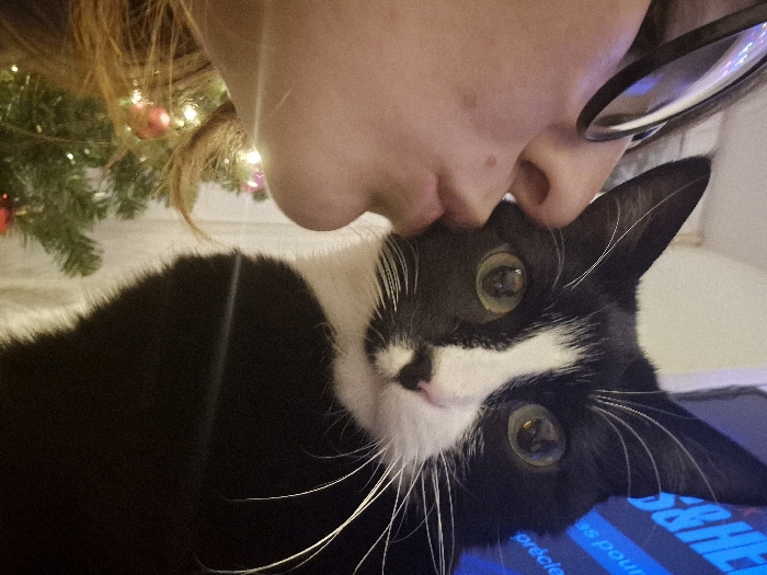 A human is kissing a black and white cat on the forehead. The cat has large, round eyes and is looking directly at the camera. The human is wearing glasses. Part of a Christmas tree with red ornaments is visible in the background. The cat appears to be lying on top of a blue object, possibly a book or electronic device. The lighting is soft and the overall image has a warm tone.