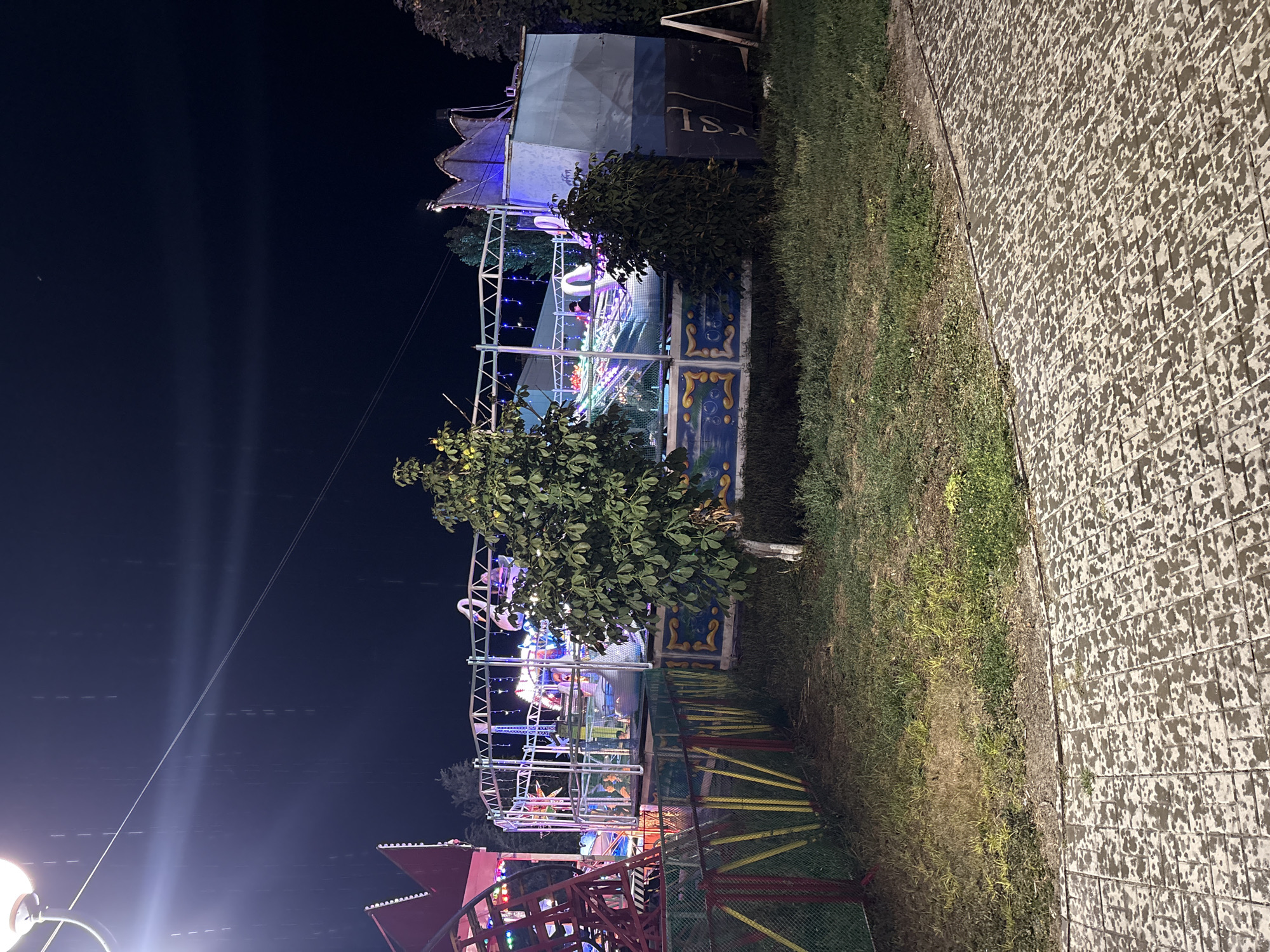 This image depicts a nighttime scene at an amusement park, possibly in Sol-Iletsk, Russia, with a clear view of a central ride. The ride appears to be a circular amusement attraction with multiple gondolas or cars that rotate. It is illuminated with various colorful lights, creating a vibrant display against the dark sky. In the background, structures typical of an amusement park are visible, including what looks like part of a roller coaster on the left and a booth or building on the right with decorative elements.
The ground in the foreground is a paved pathway, appearing wet and reflective, suggesting recent rainfall. The surrounding area includes grassy patches and trees, with one prominent tree positioned in front of the central ride. A fence, possibly a safety barrier for the amusement park, runs along the left side of the image, constructed with colorful vertical poles and a green mesh. The overall atmosphere is one of a lively, illuminated amusement park operating in the evening or at night, with the weather conditions contributing to a unique visual effect on the wet surfaces.